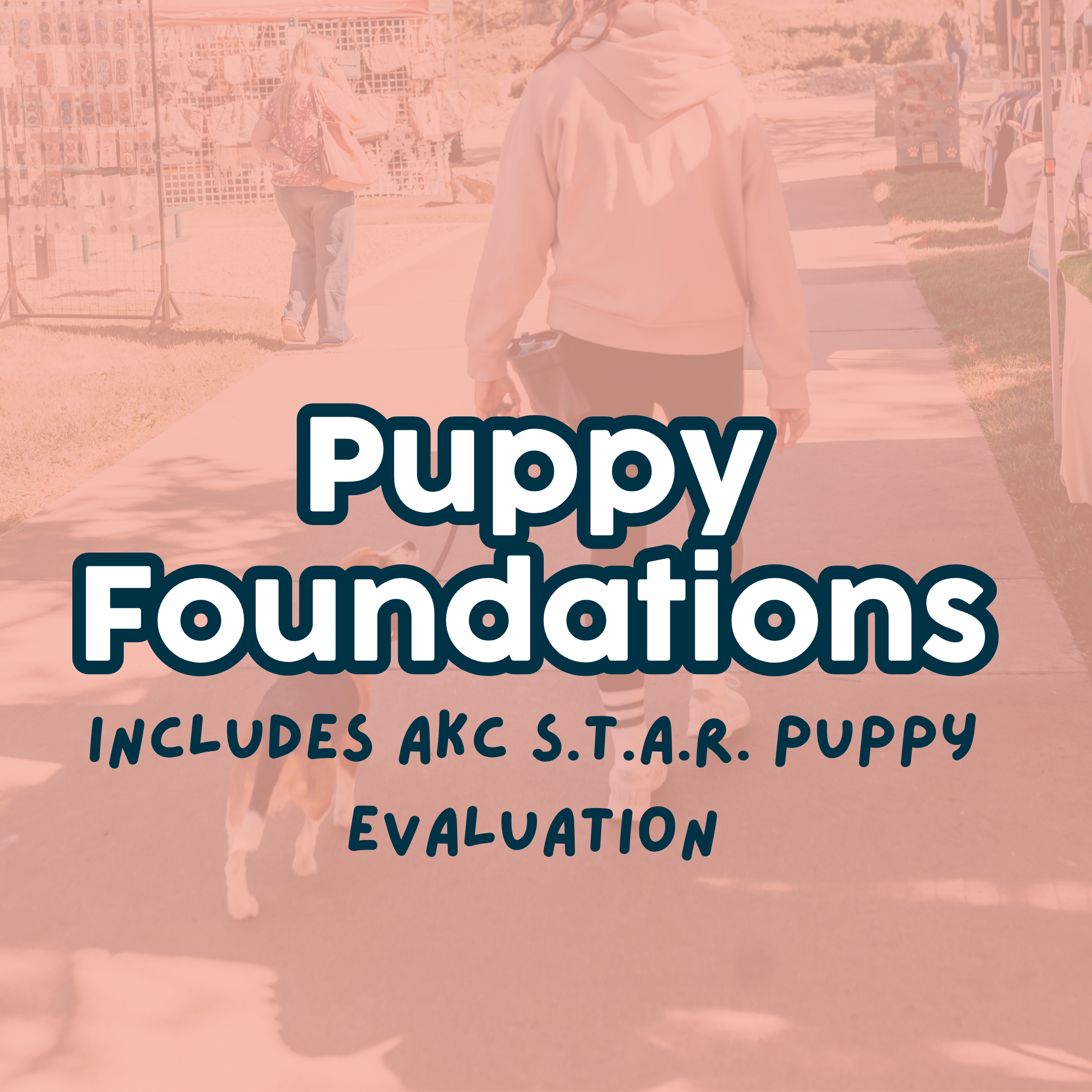 Puppy Foundations Includes AKC S.T.A.R. Puppy Evaluation