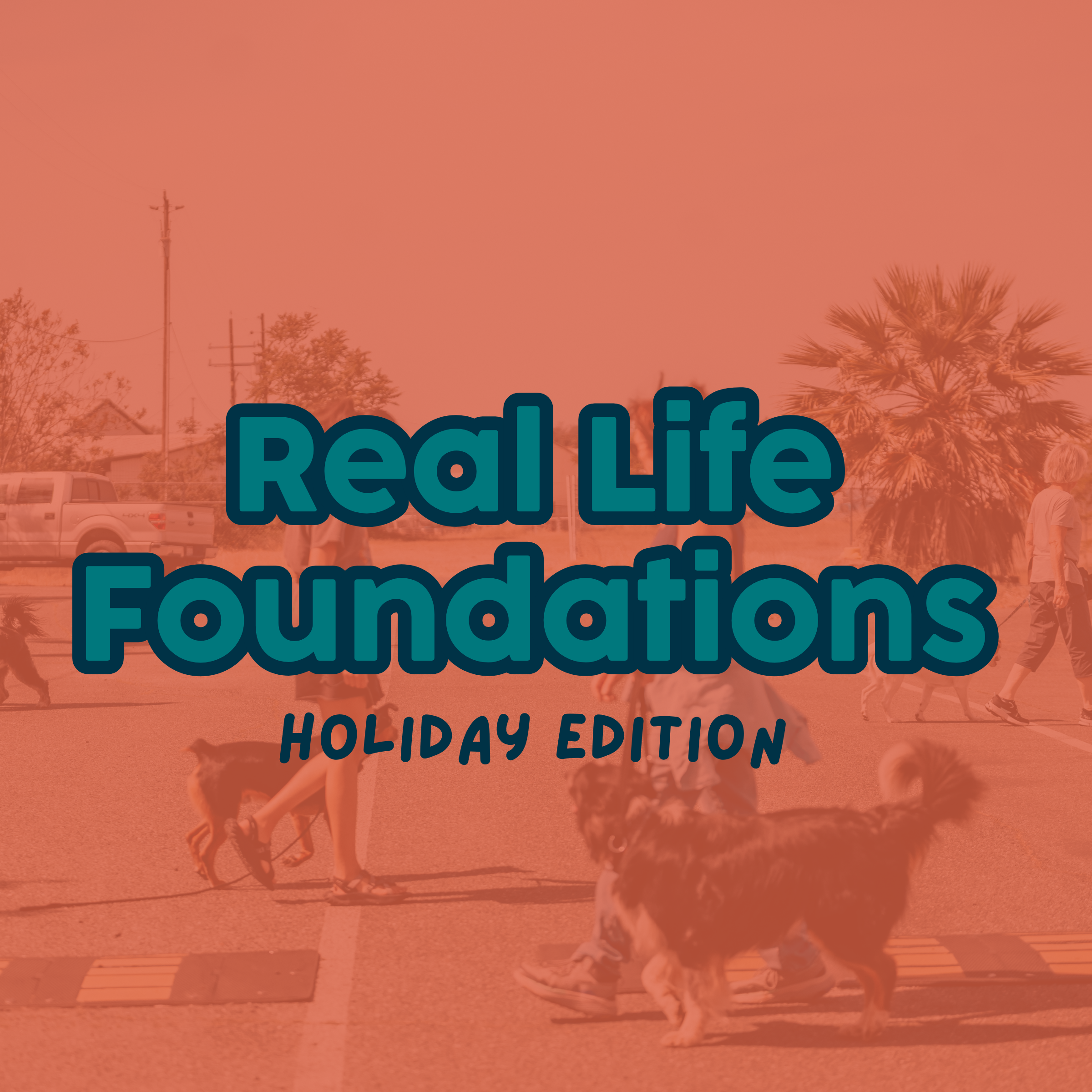 Real Life Foundations: Holiday Edition