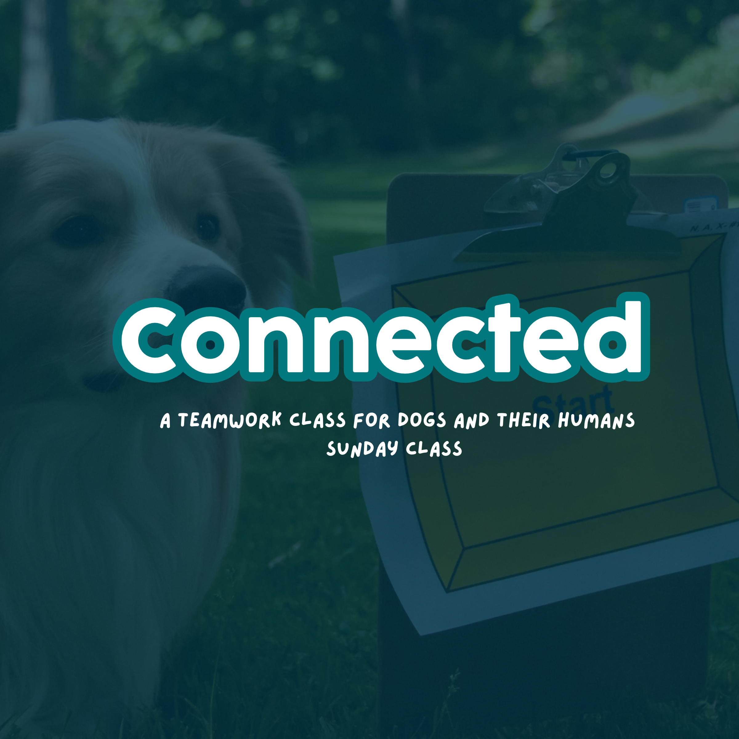 Connected: A Teamwork Class | Sunday Morning