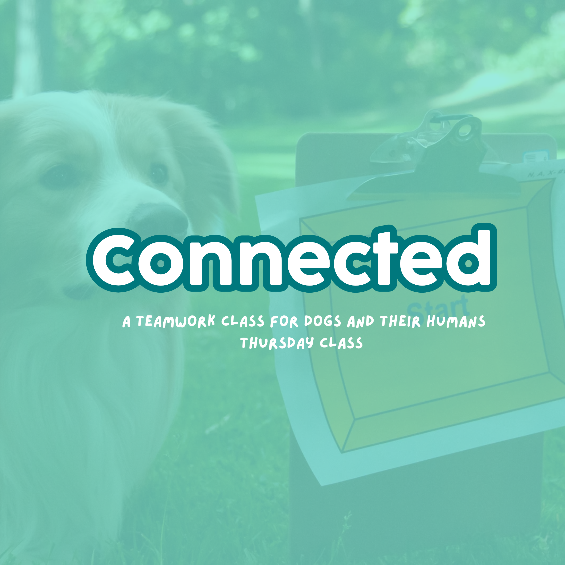 Connected: A Teamwork Class | Thursday Evening