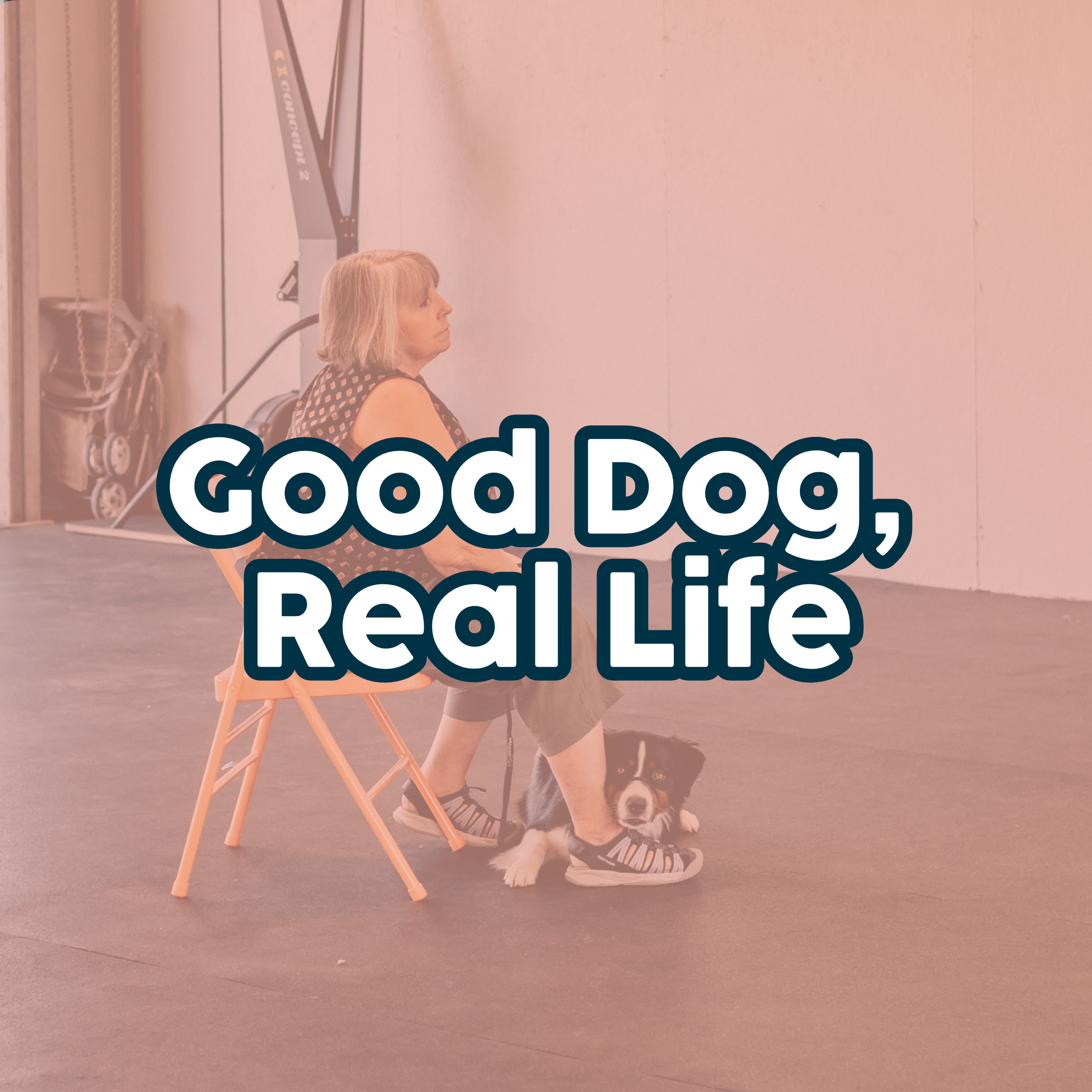 Good Dog, Real Life
