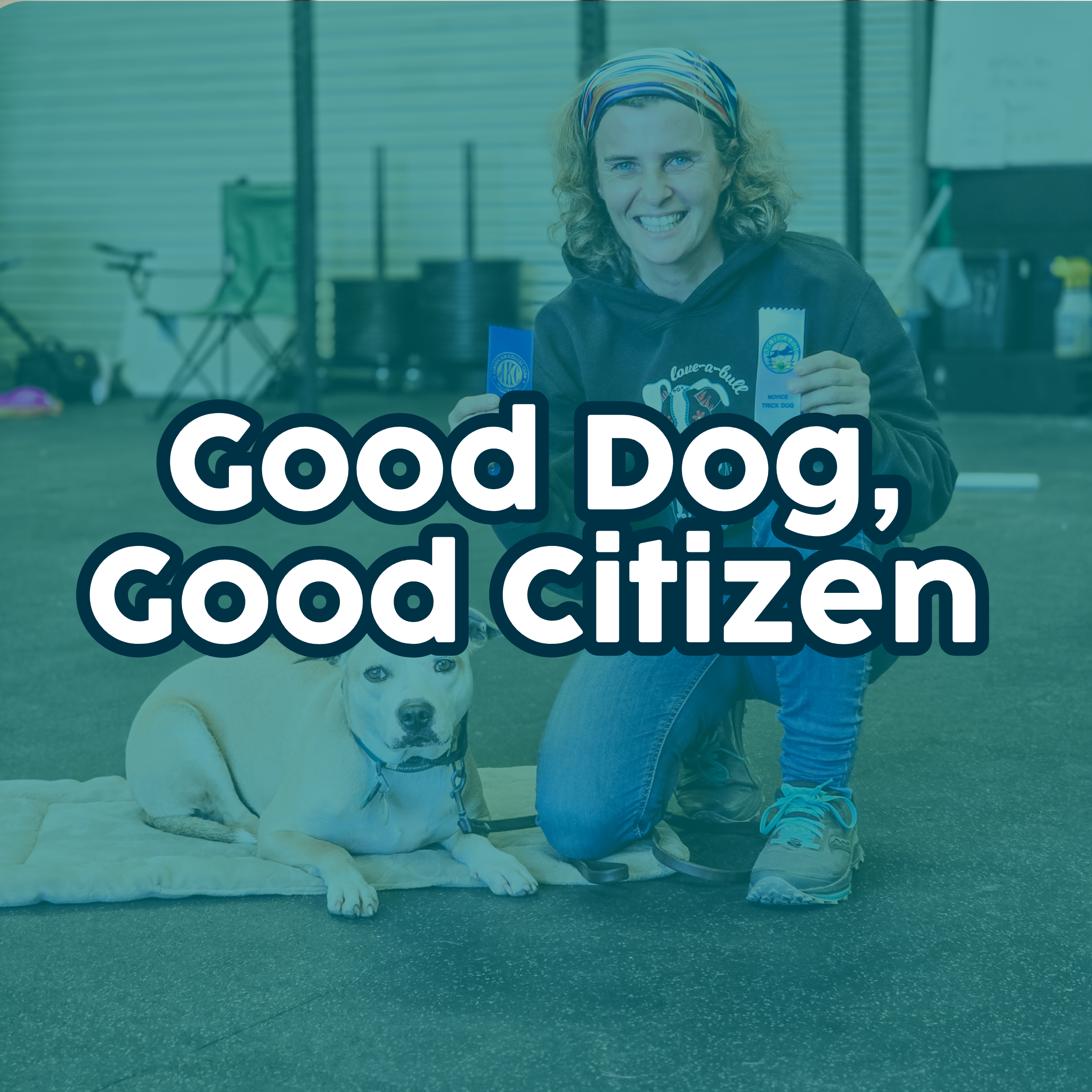 Canine Clinic Audit.png