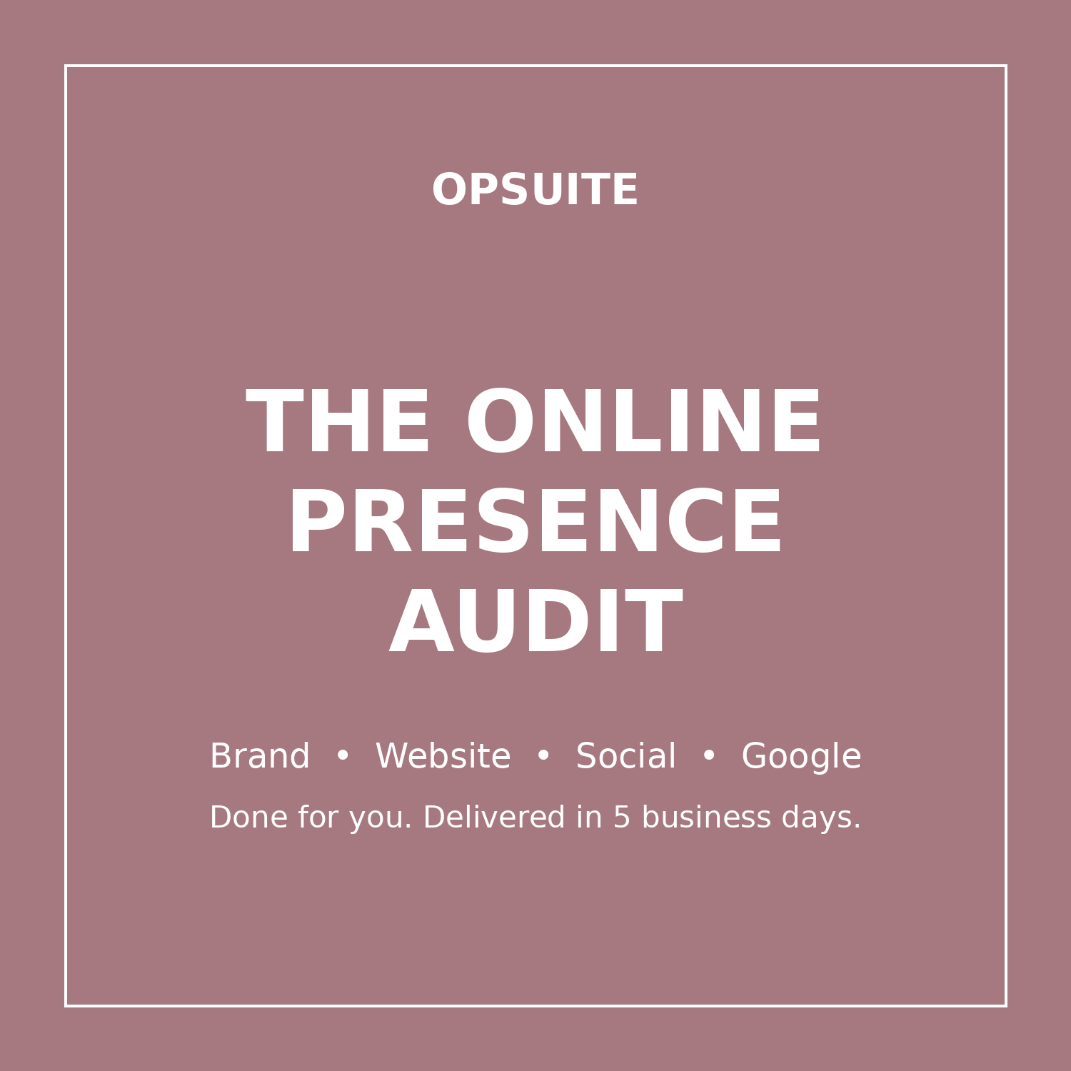 online-presence-audit.png