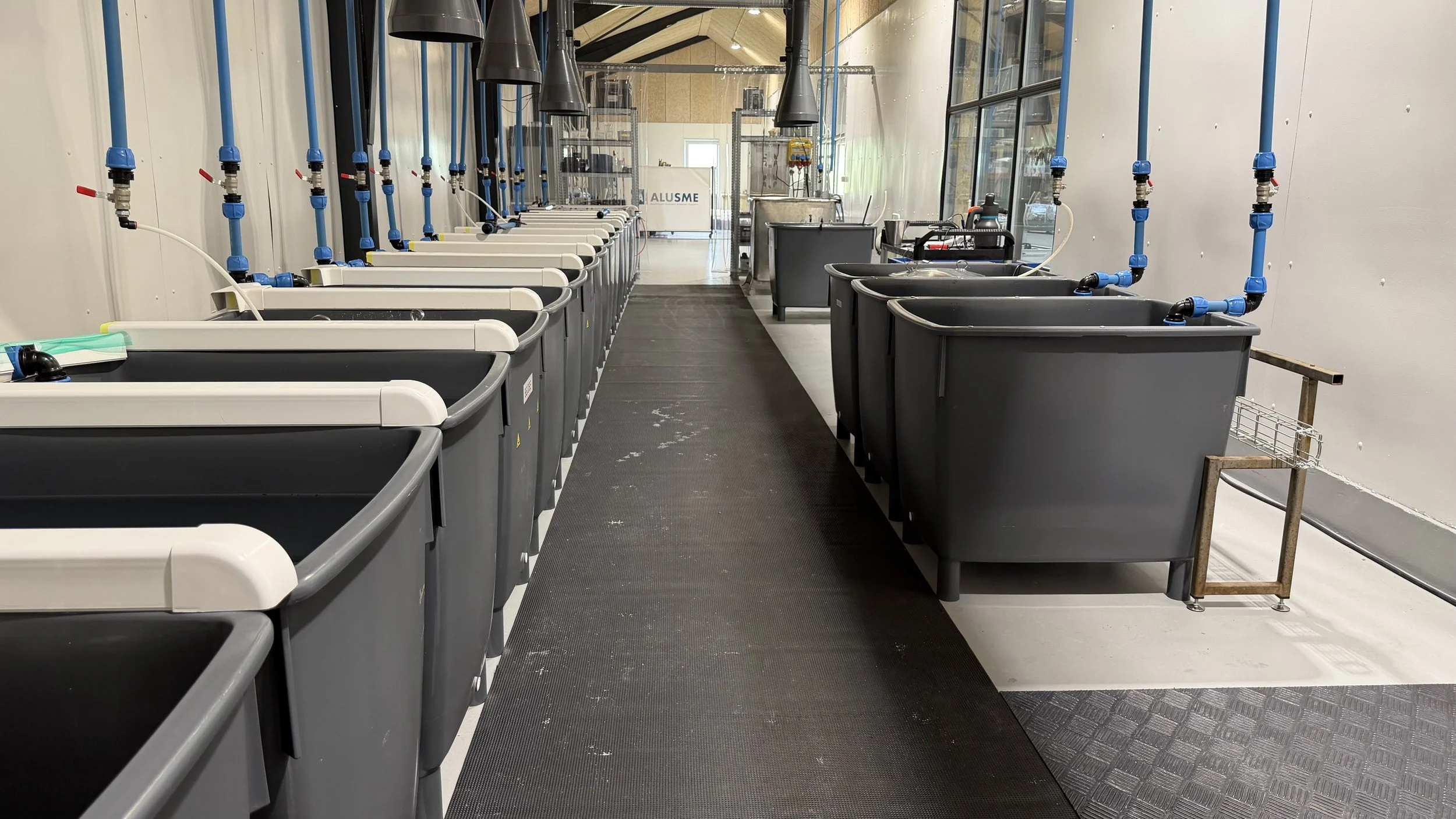 Anodizing line at AluSME