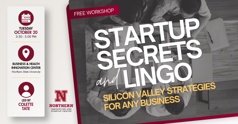 Startup Secrets and Lingo: Silicon Valley Strategies for Any Business