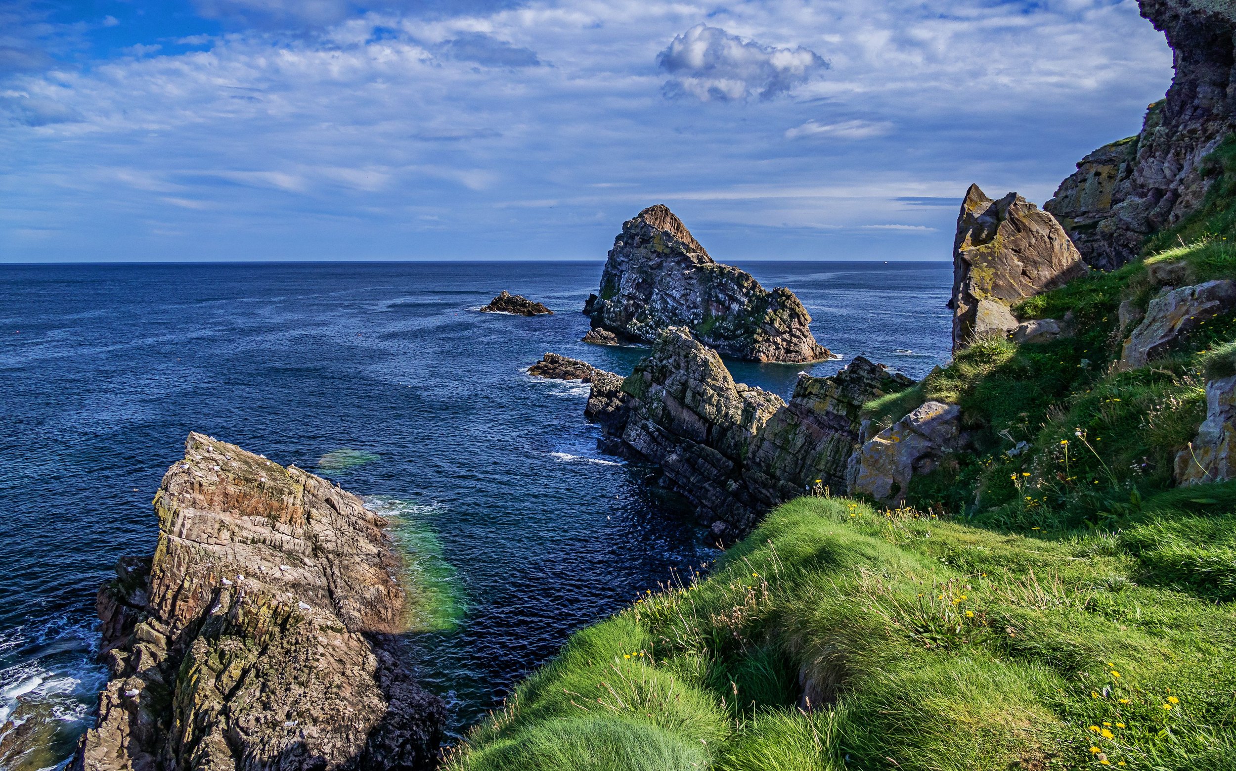 Cliffside view of the ocean with large rocky formations and lush green grass with yellow flowers in the foreground, blue sky with clouds overhead.