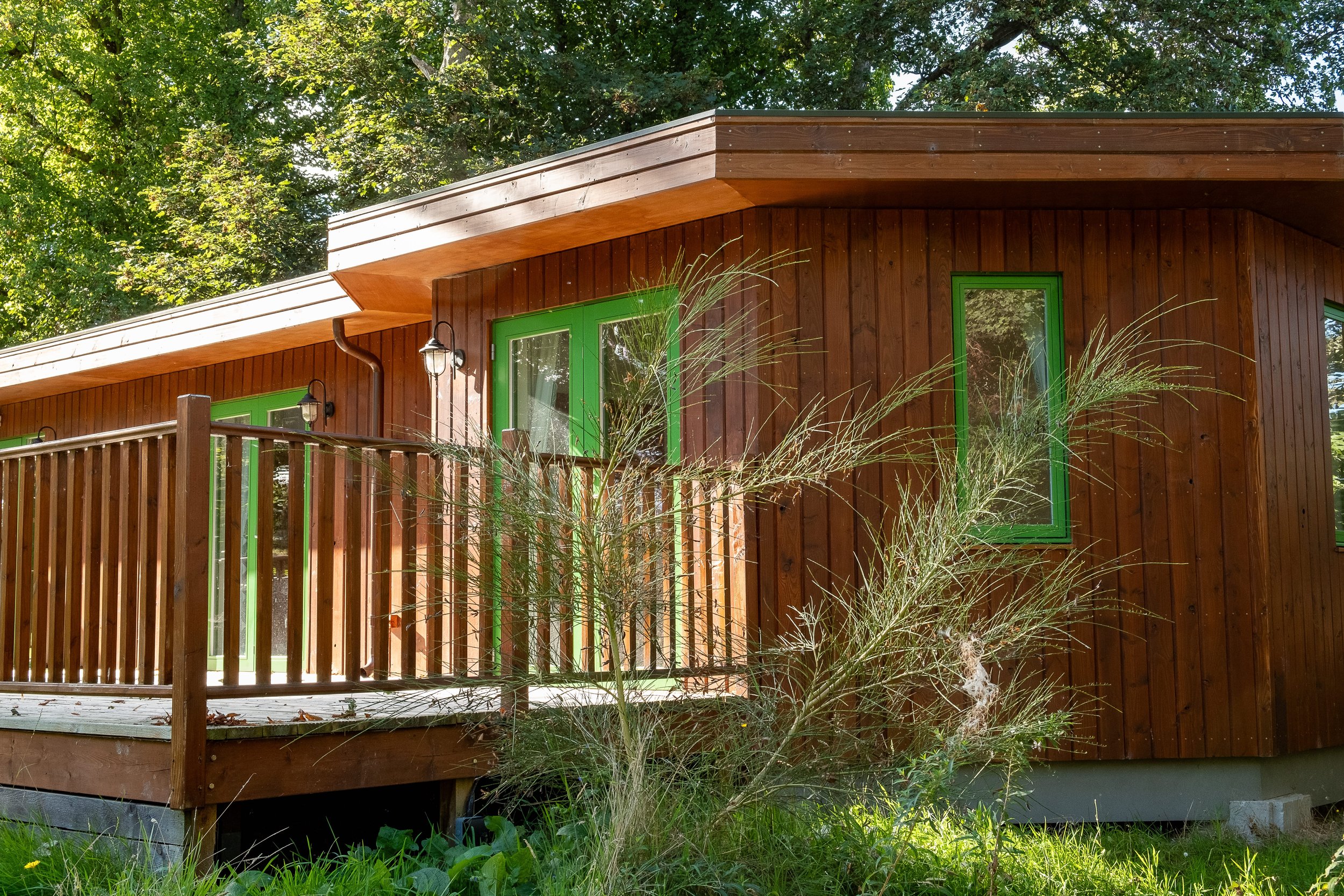 Wooden cabin with green trim and front porch, surrounded by trees and grass.