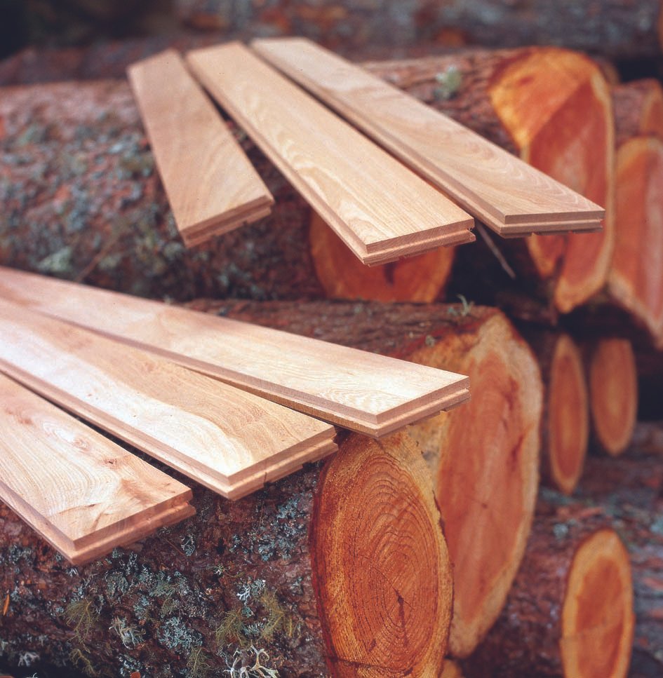Floor on Logs.jpg