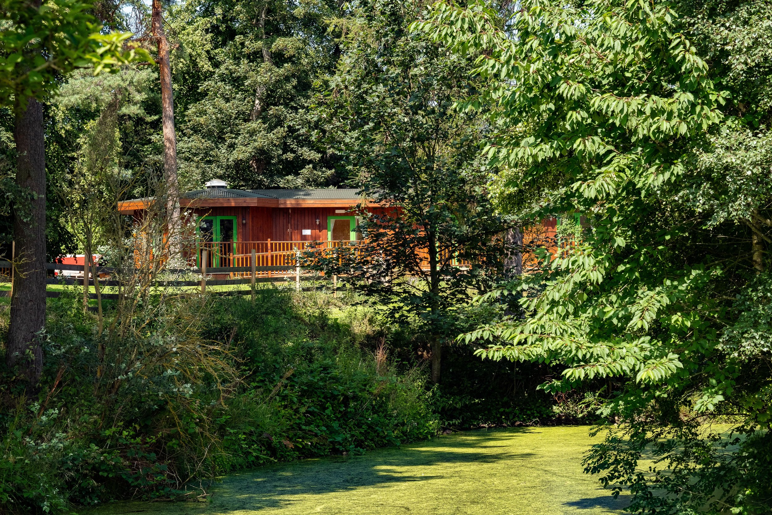 Wooden cabin by a pond surrounded by trees and greenery in a lush forest setting.