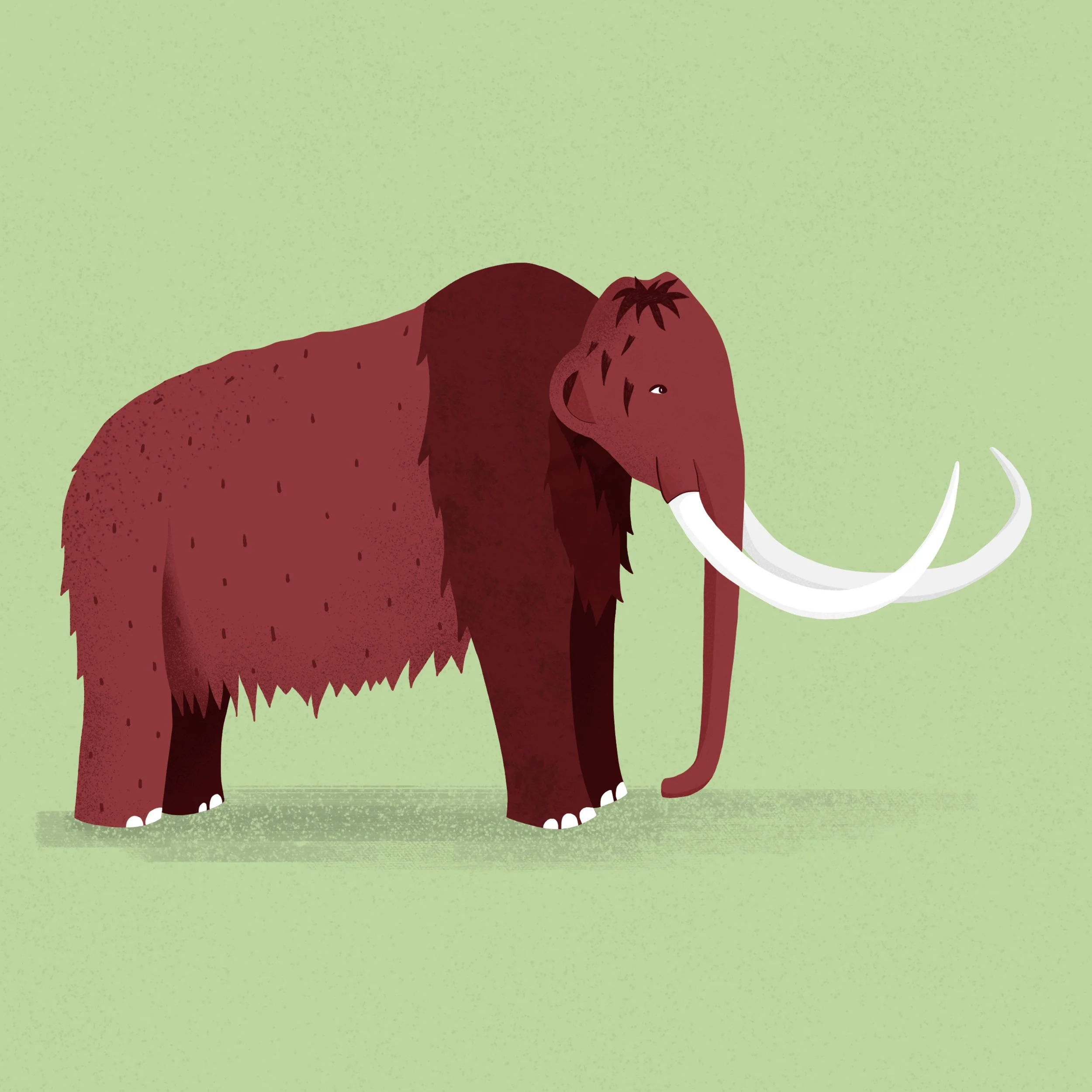 Icônes-10-Musée de l'Aurignasien-Aurignac-Mamouth.jpg