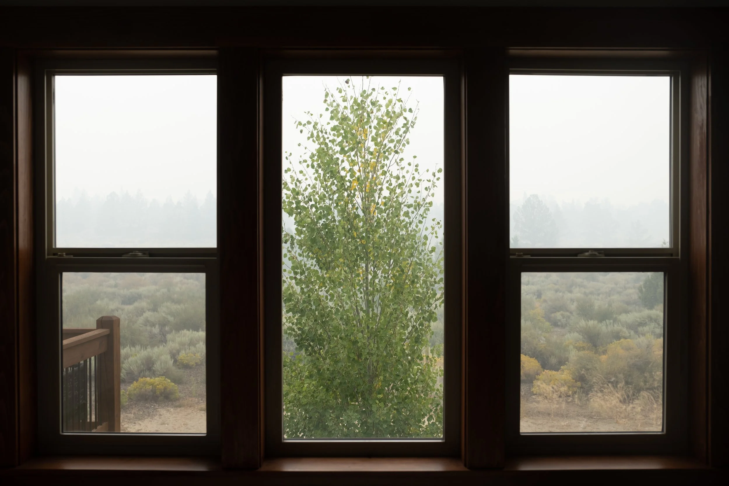 SMOKEY DAYS