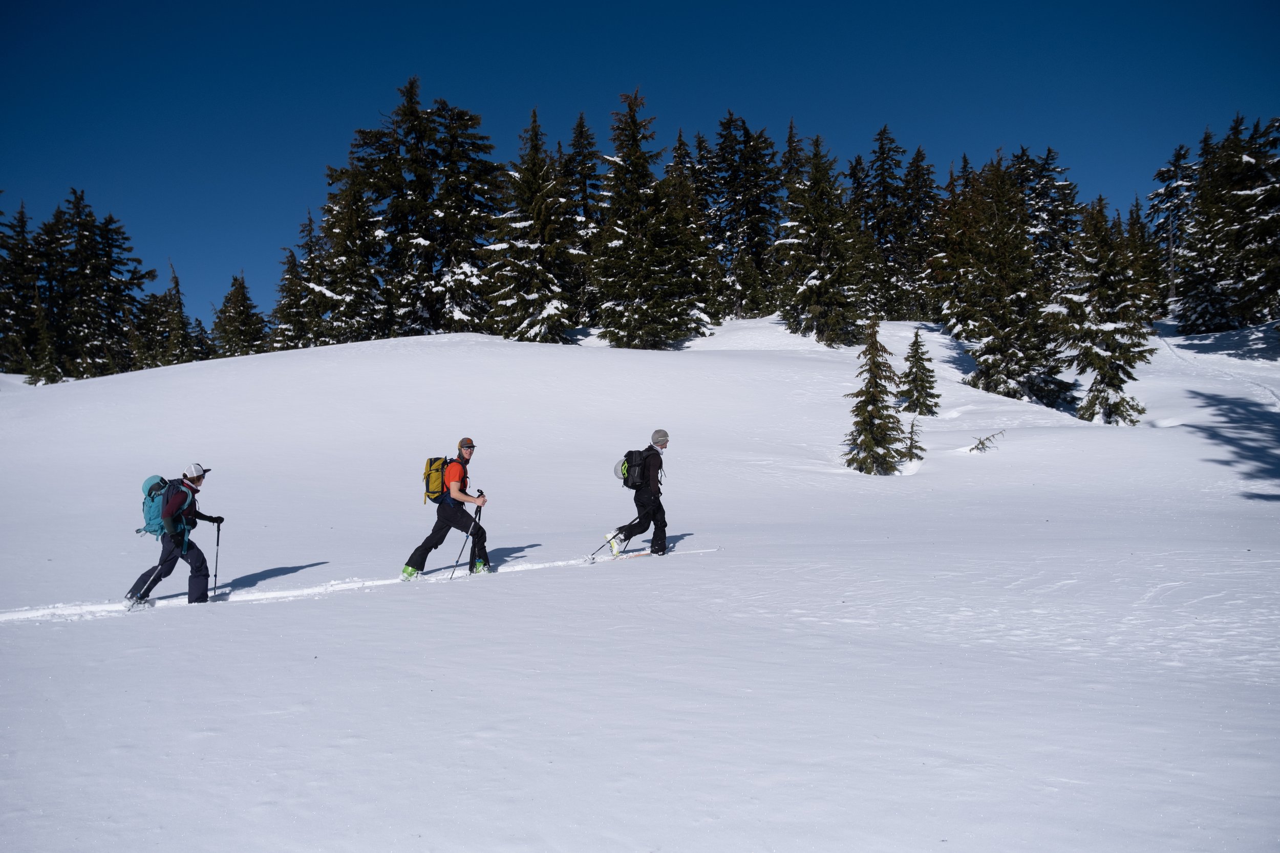 skiin-3.JPG