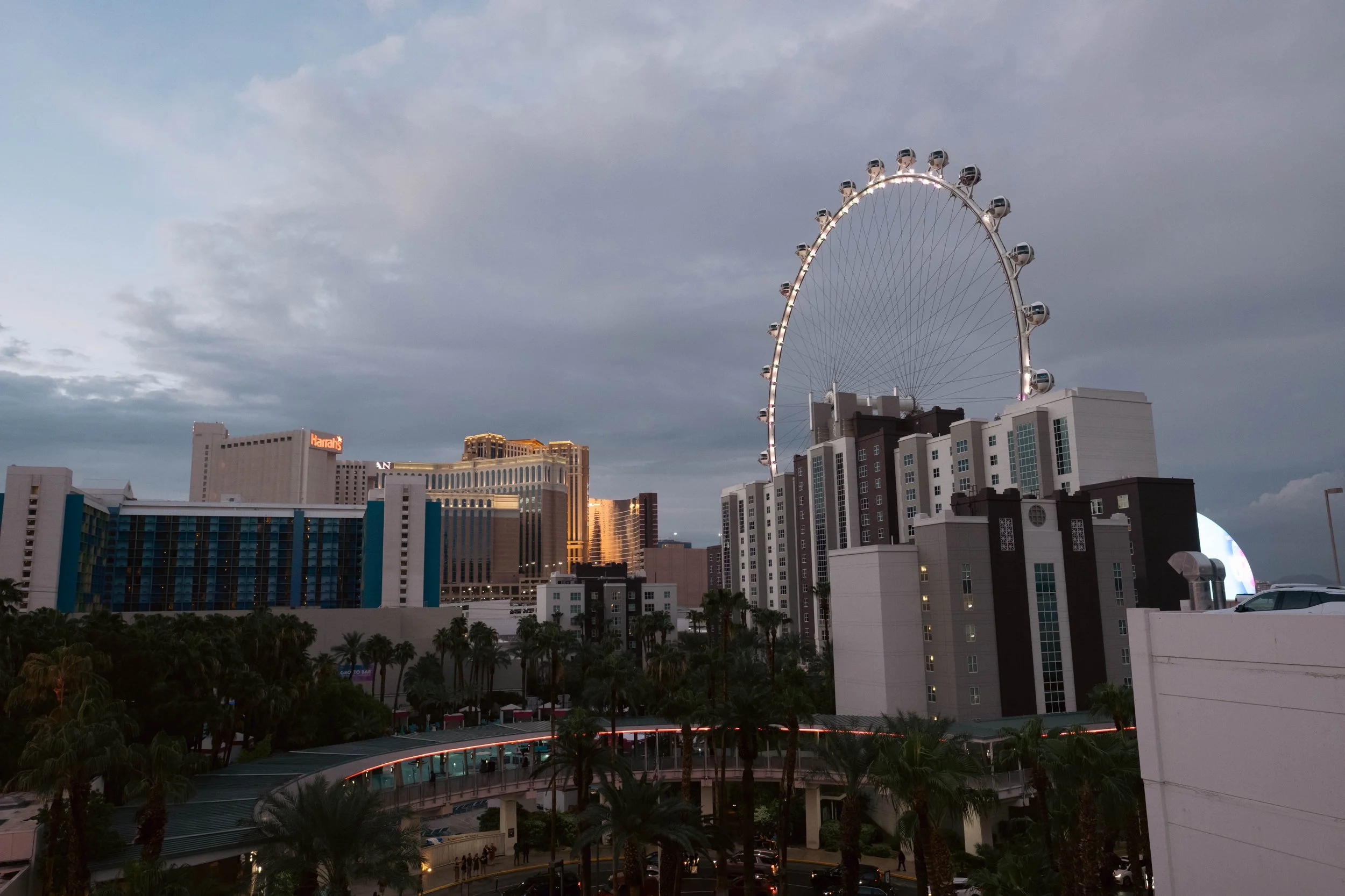 vegas-3.jpg