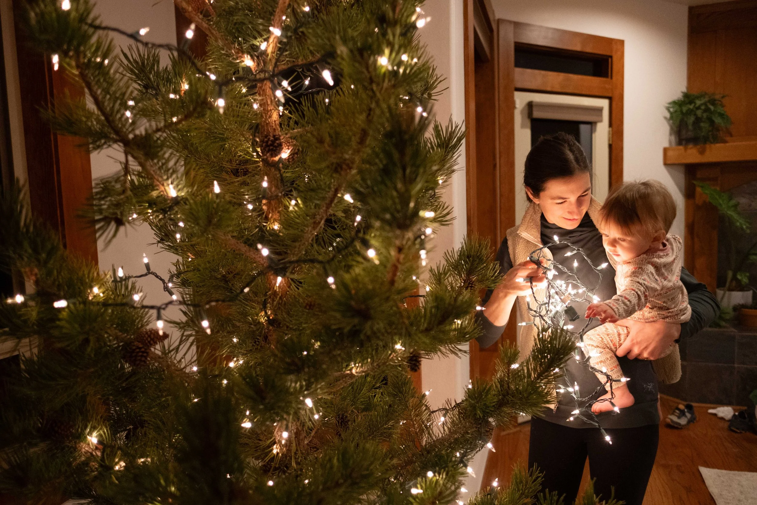 treeday-21.jpg