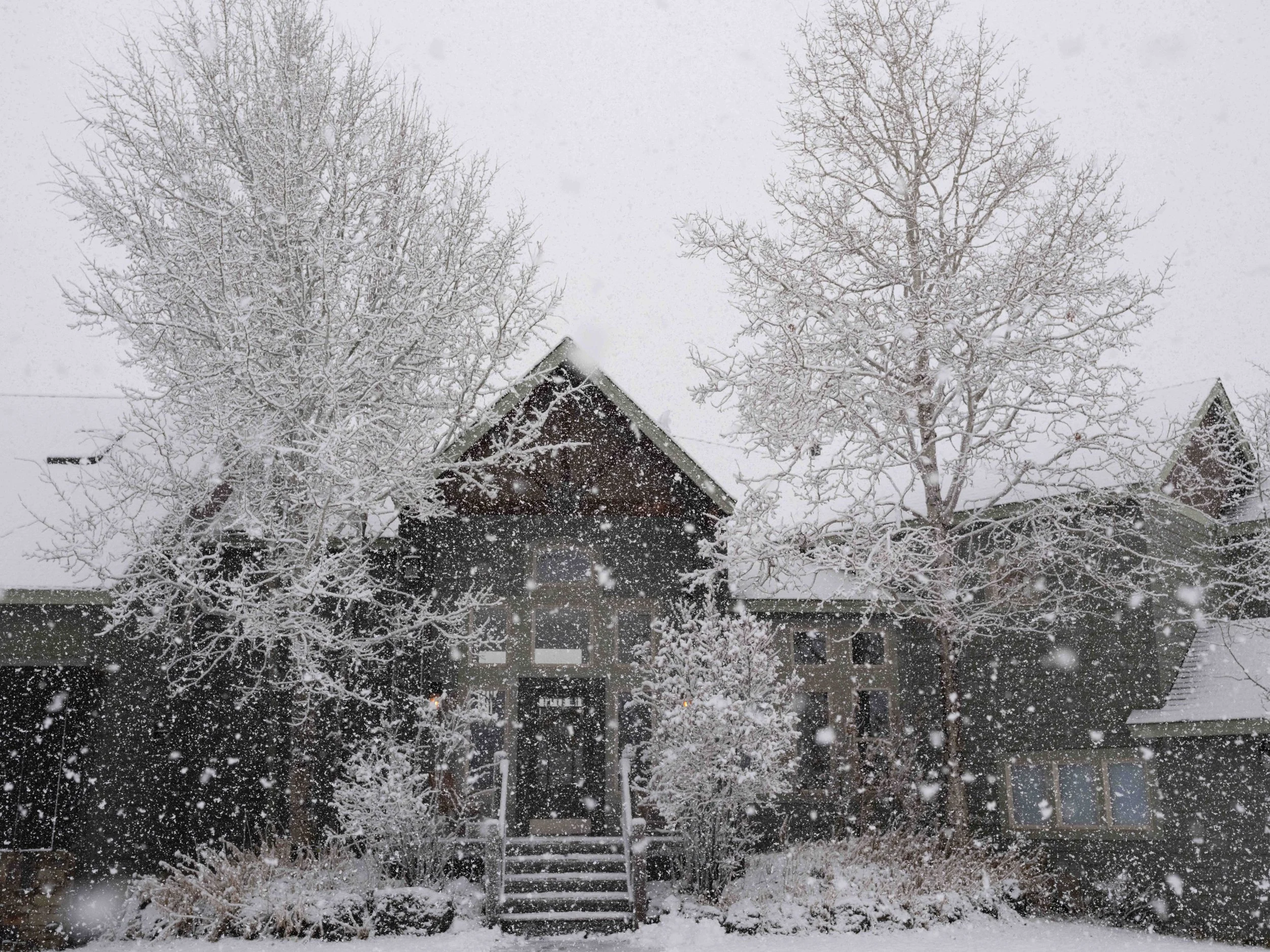 Blizzard
