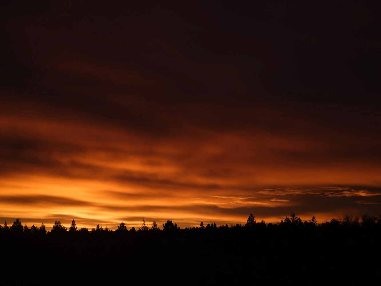 morninghome-4.jpg