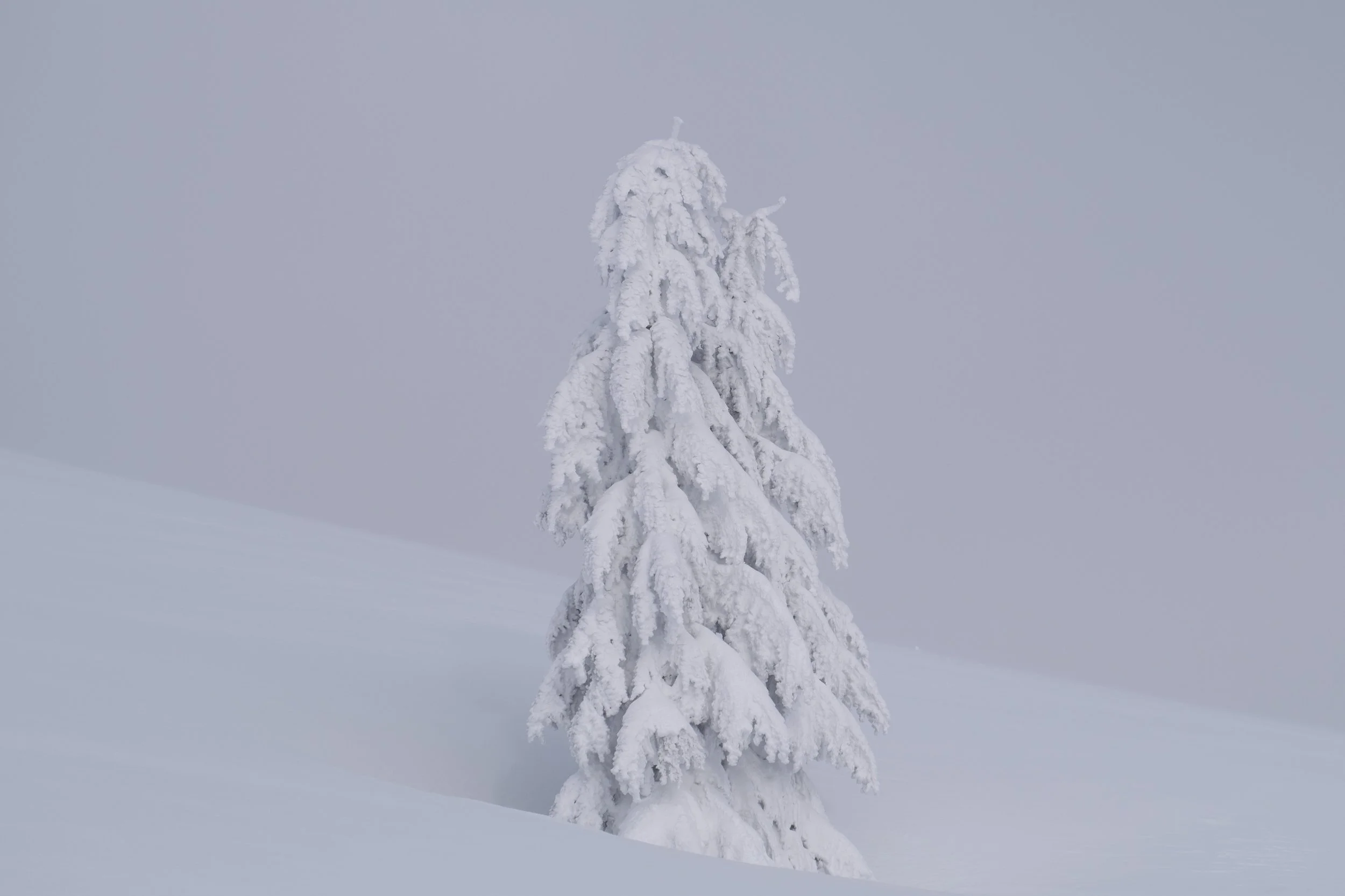 tumalo-7.jpg