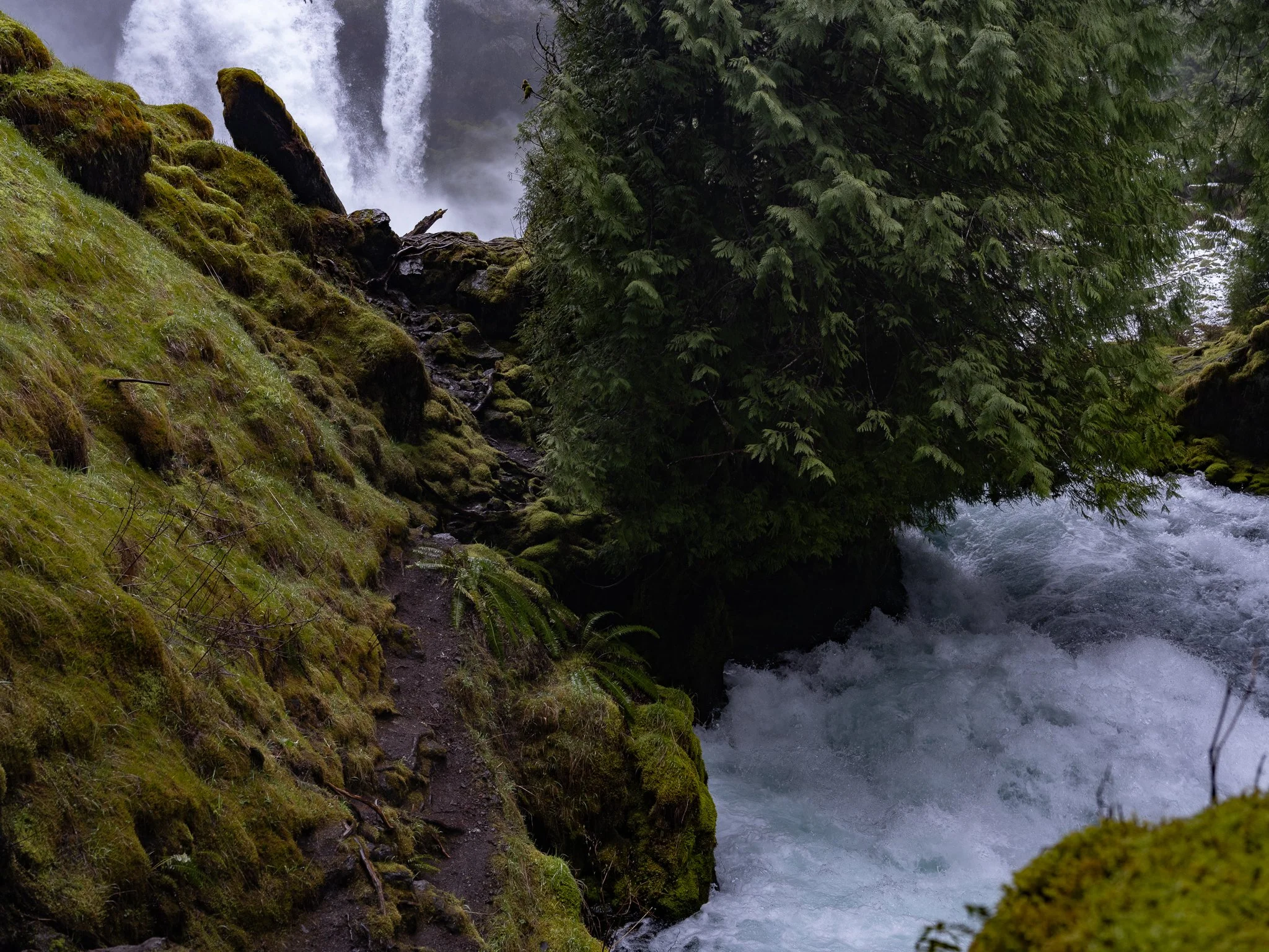 sahalie-4.jpg