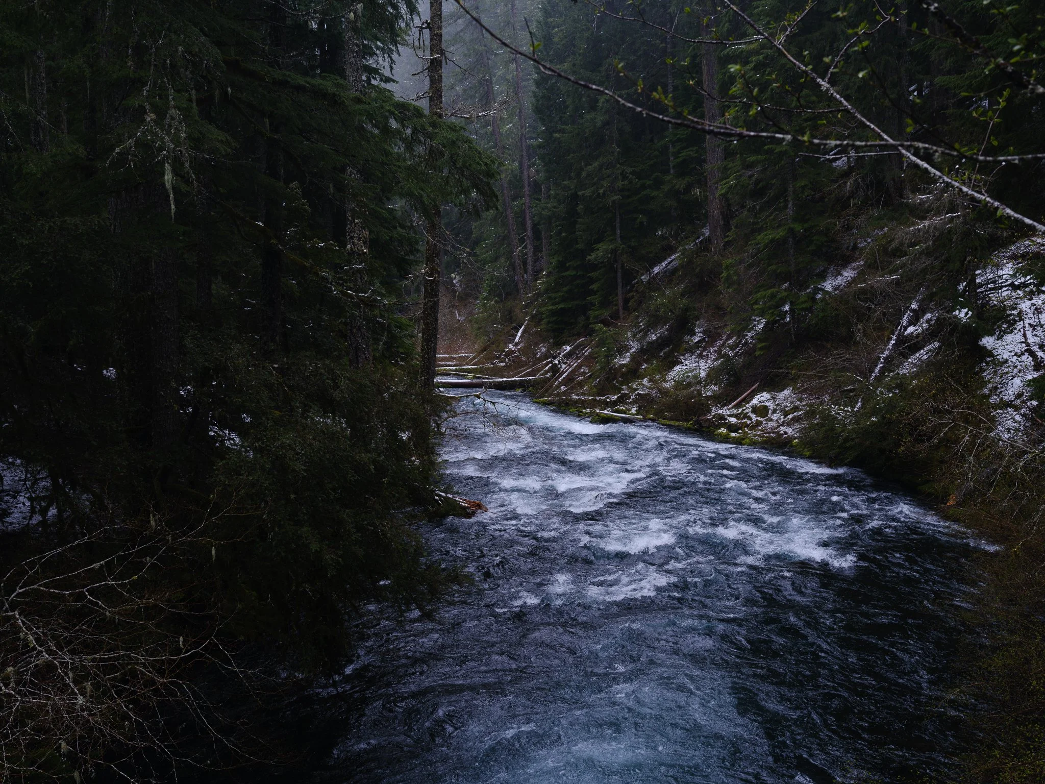 sahalie.jpg
