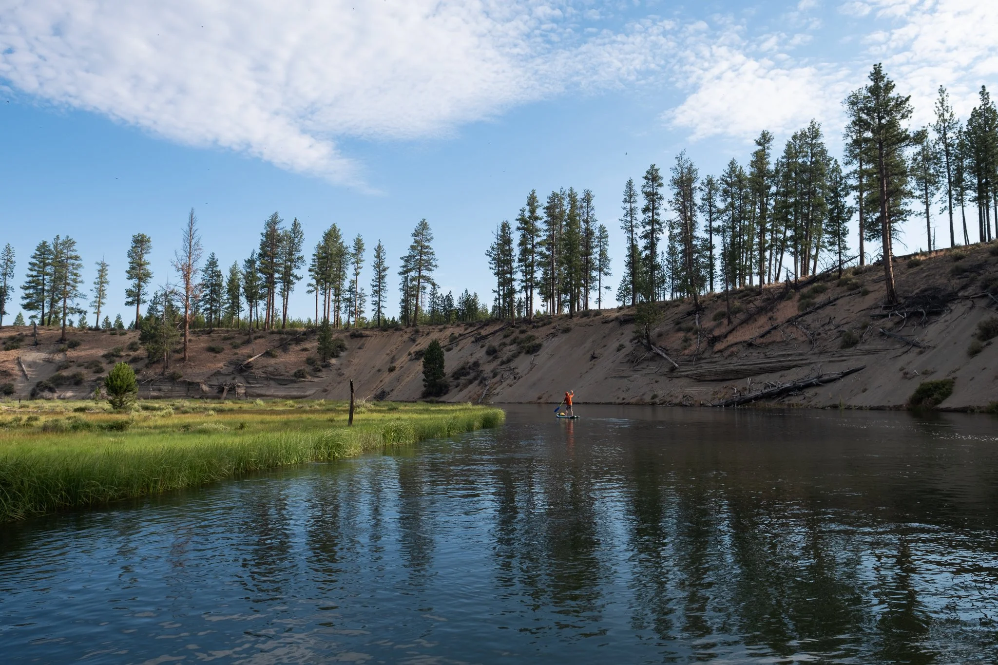 paddlepreview-4.jpg
