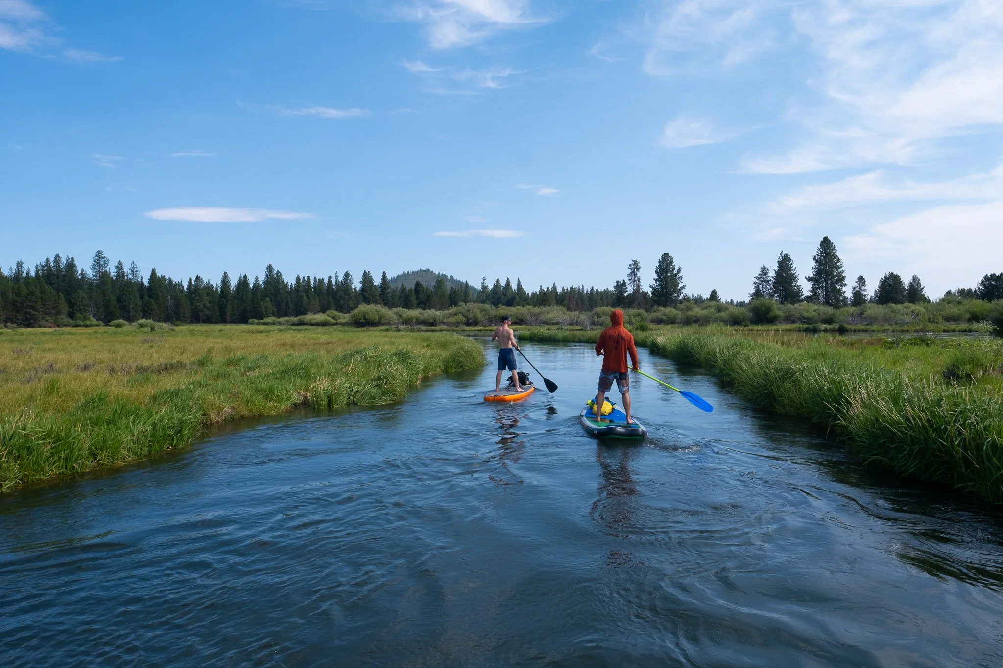 paddlepreview-10.jpg