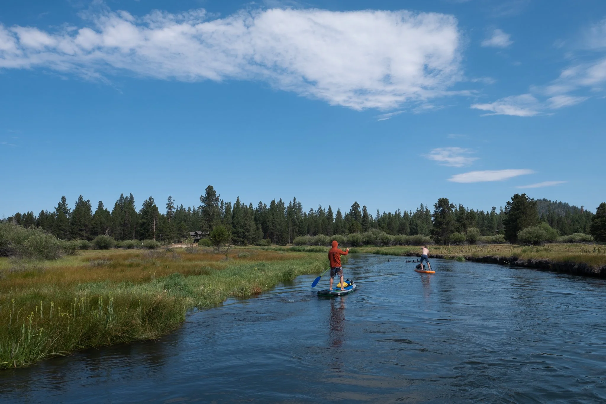 paddlepreview-11.jpg