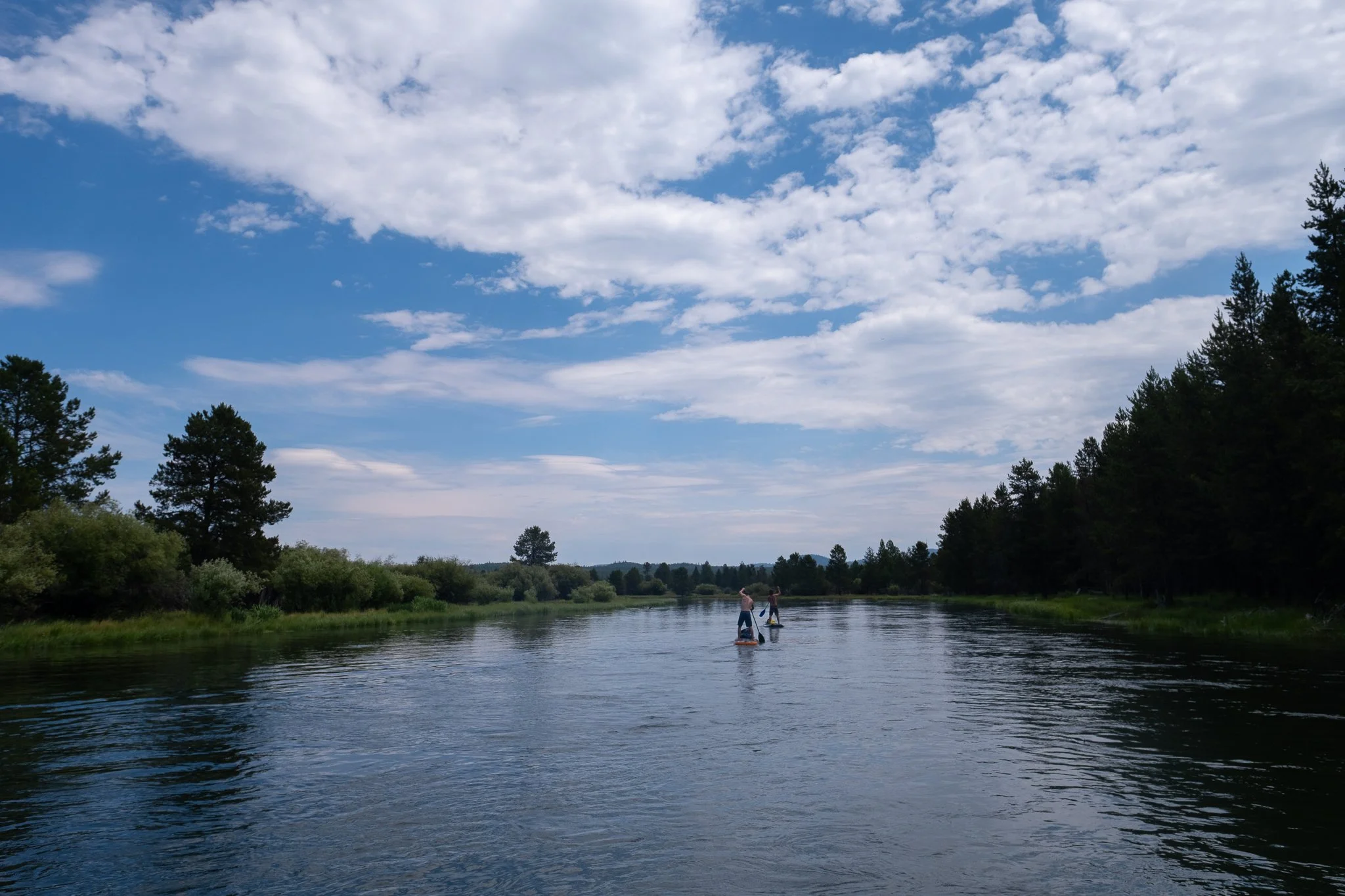 paddlepreview-13.jpg