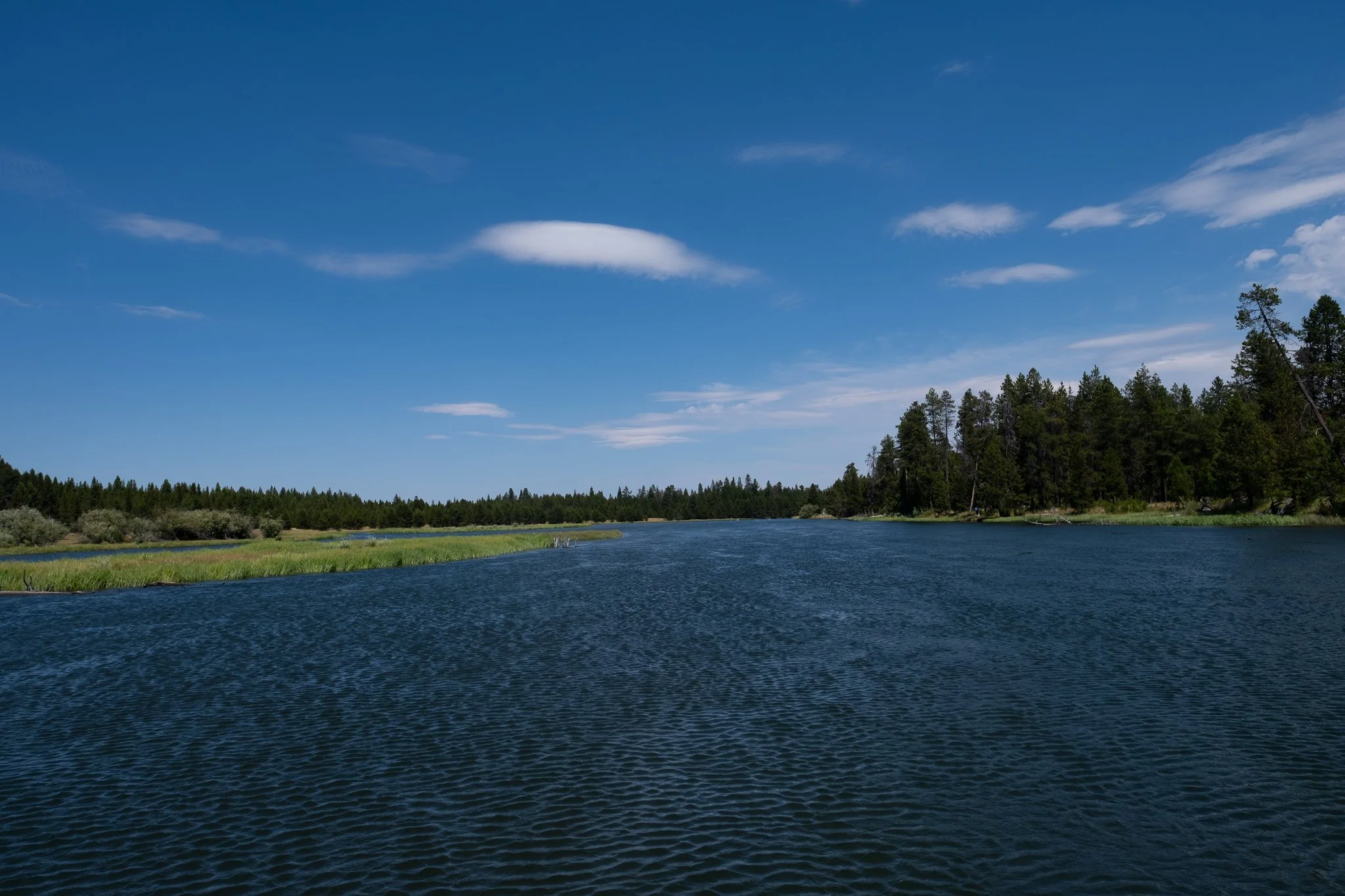 paddlepreview-16.jpg