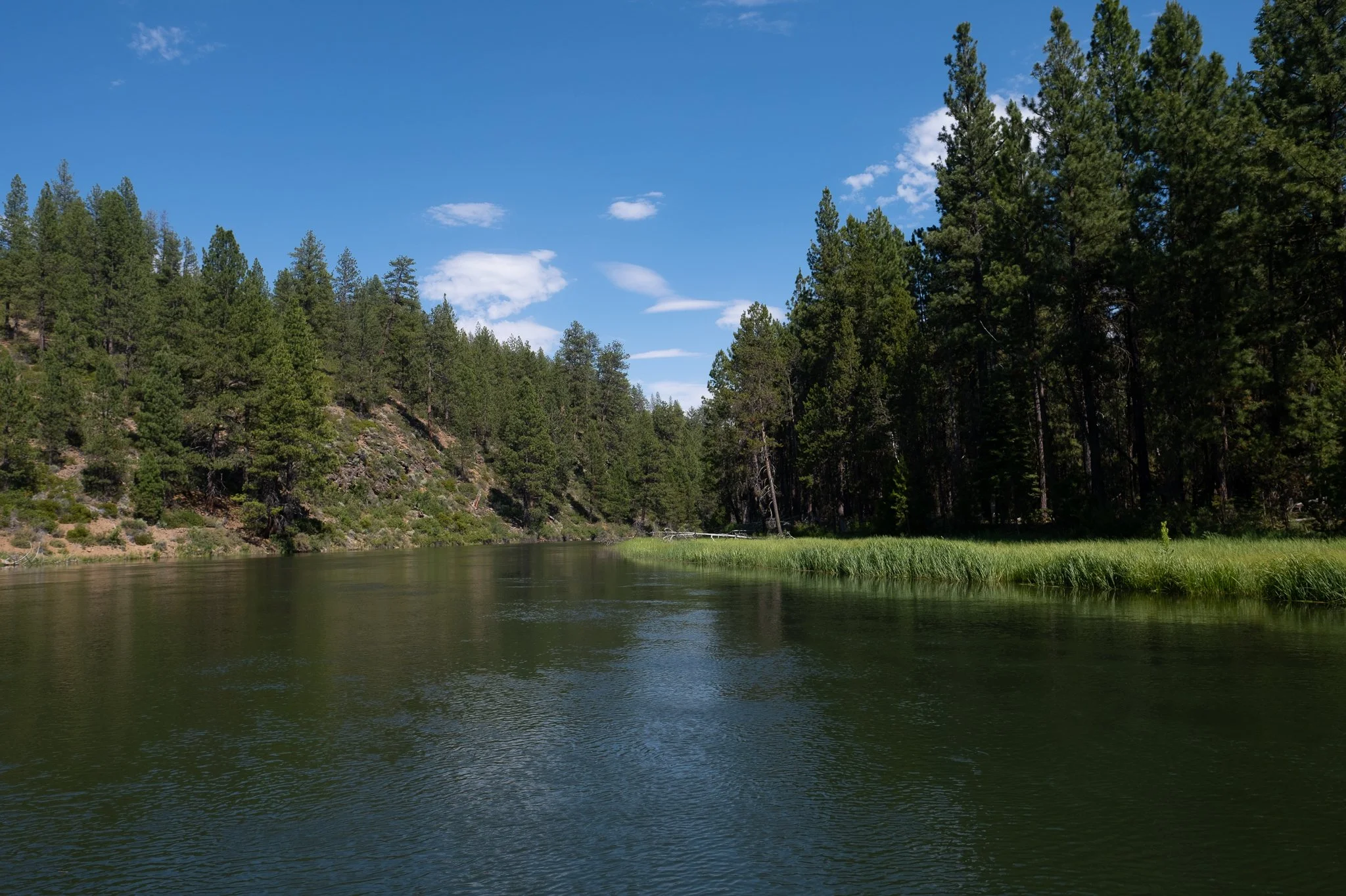 paddlepreview-20.jpg