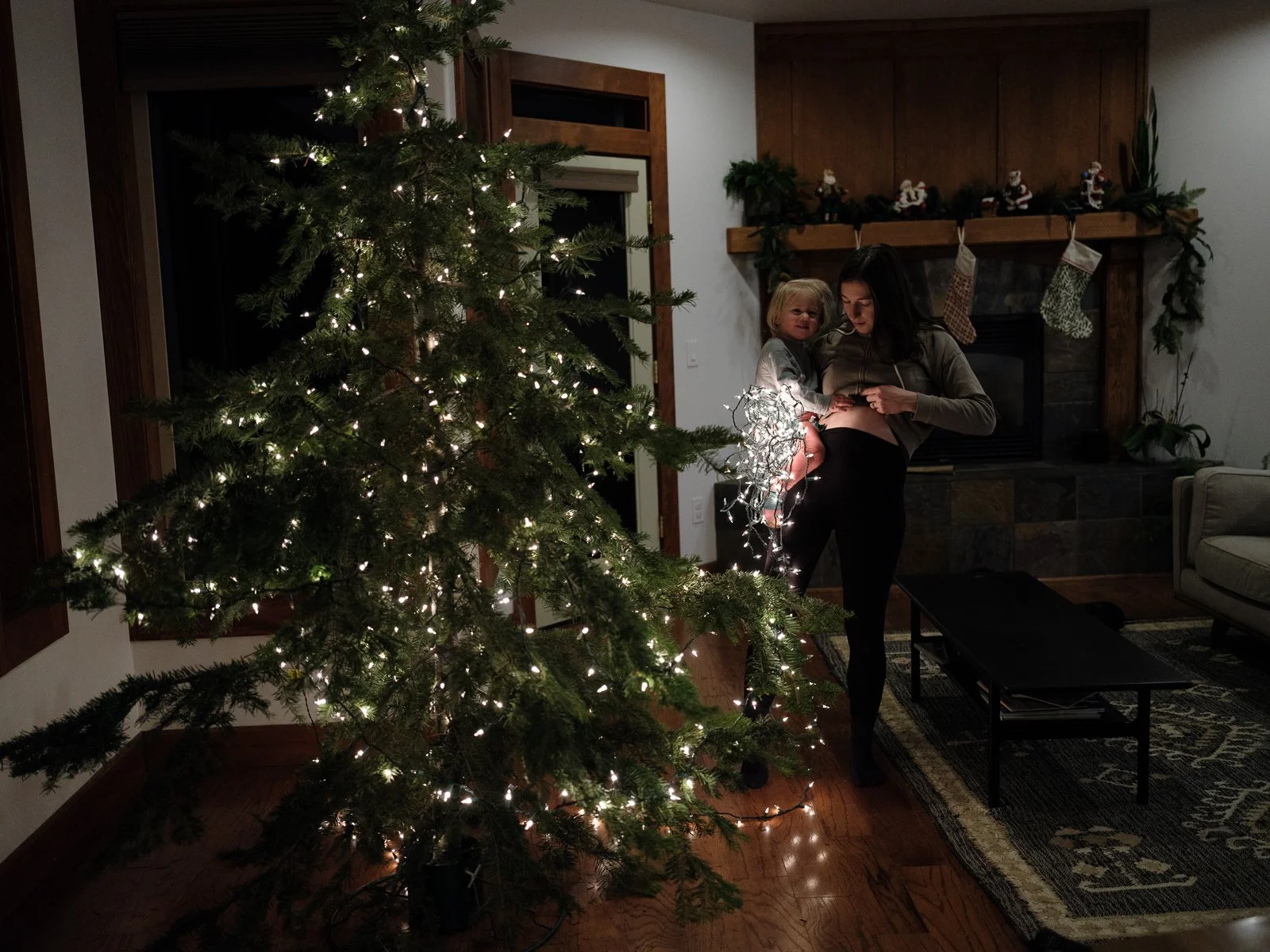tree-2.jpg