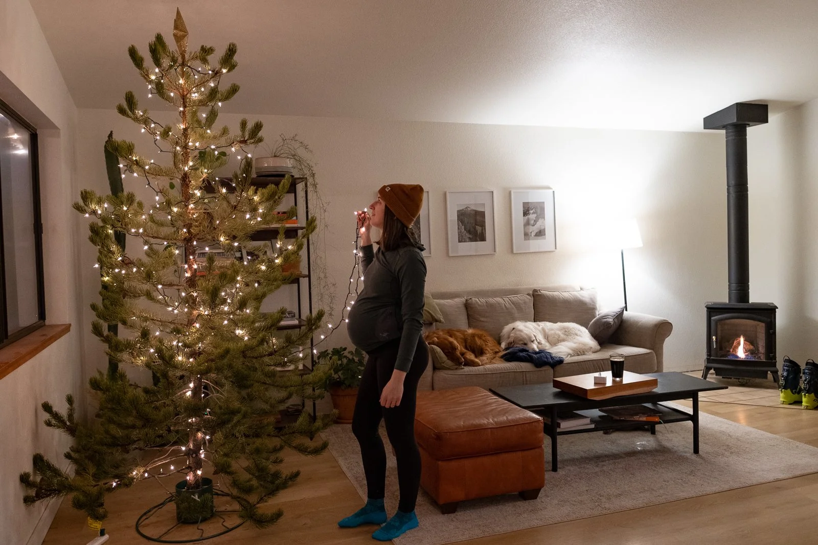 tree-6.jpg