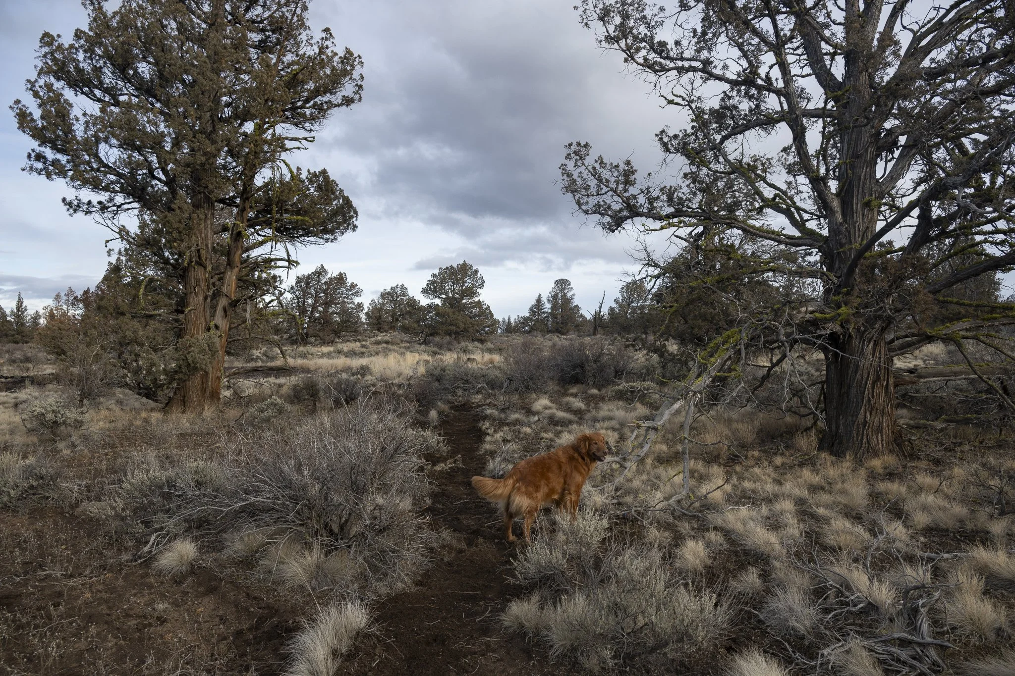 Trail maintenance 