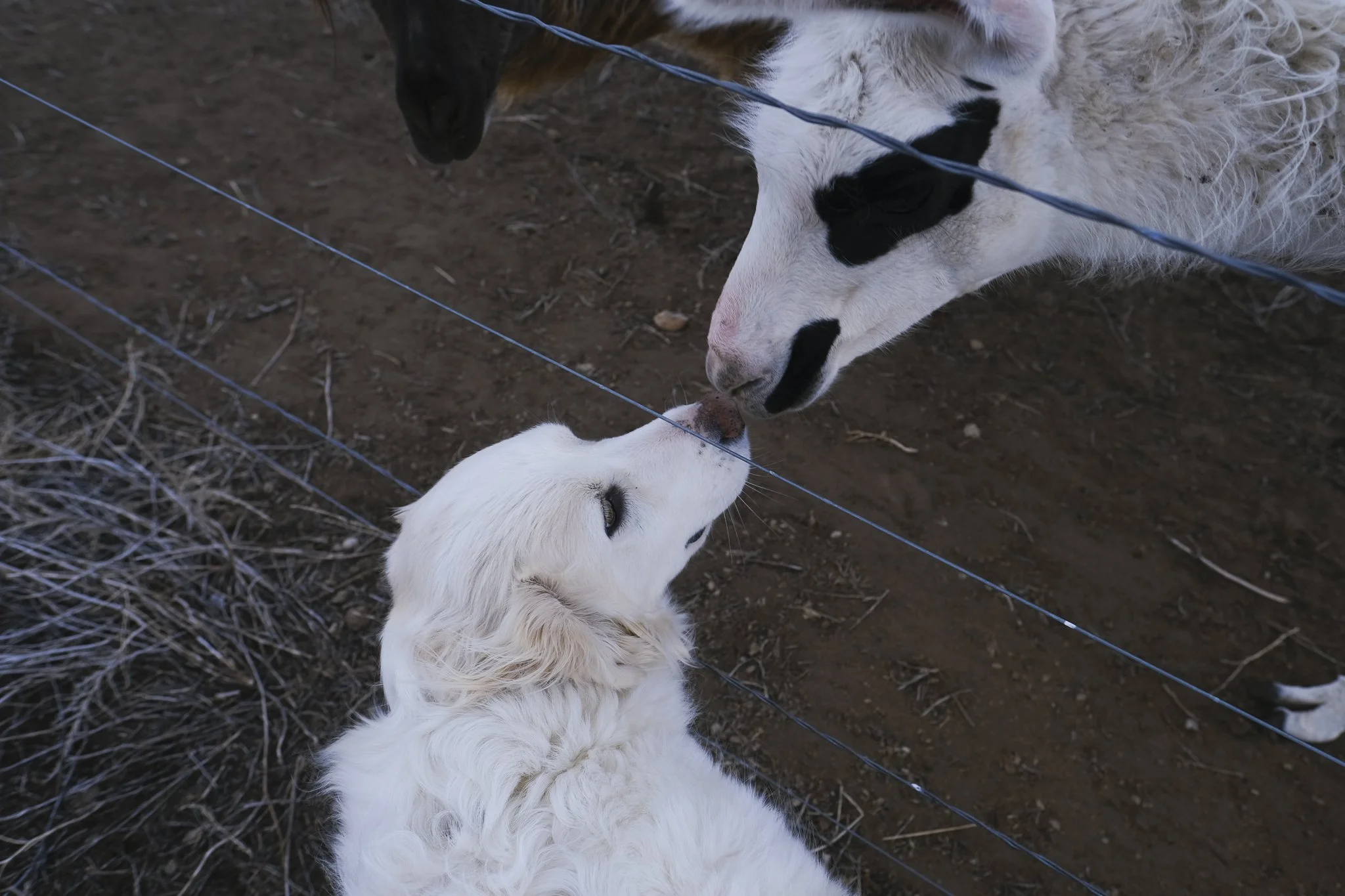 Why can’t we be friends