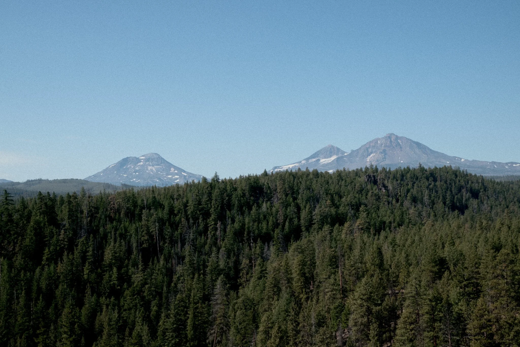 hikewithlucas-2.jpg