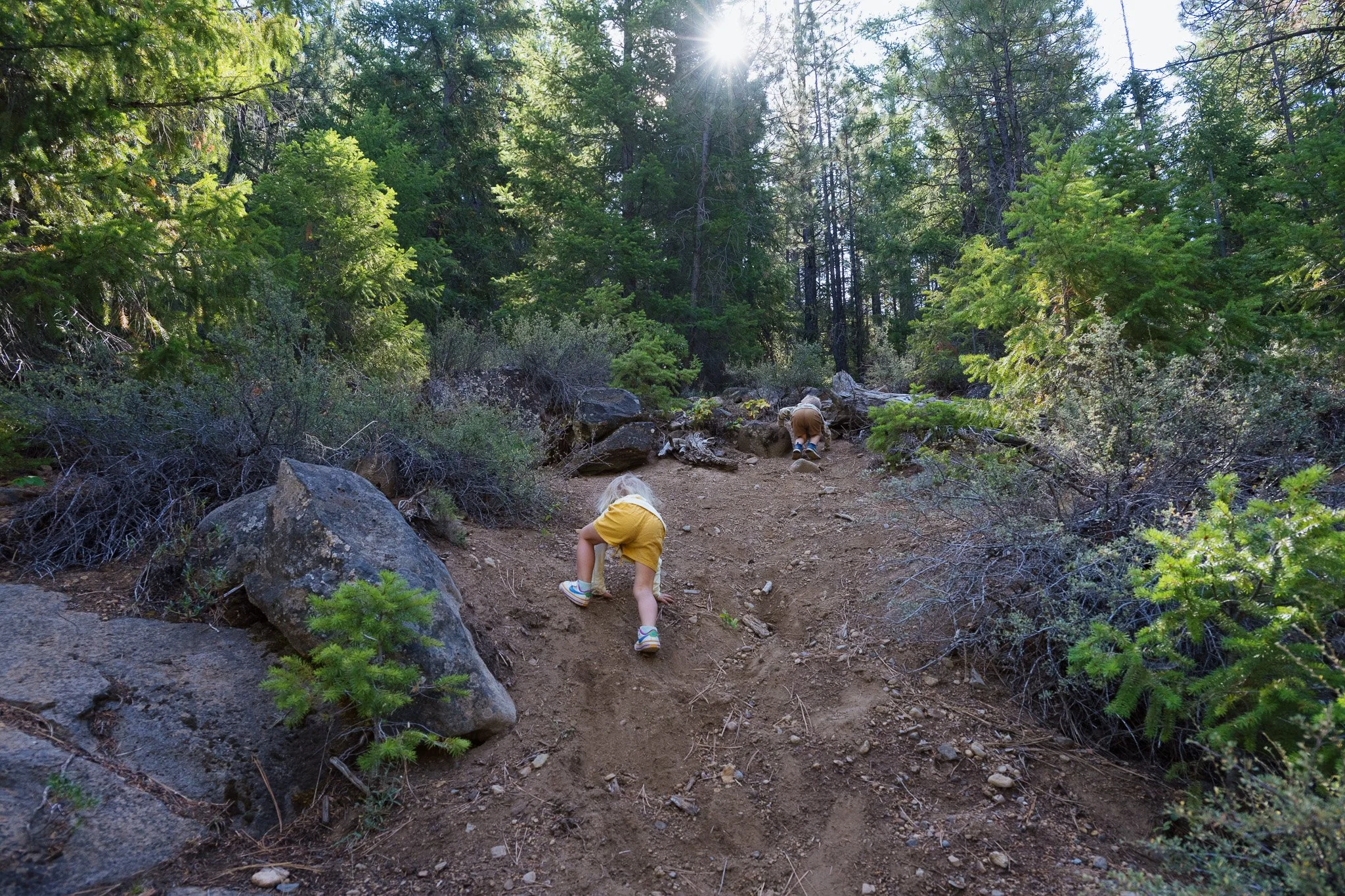 hikewithlucas-8.jpg