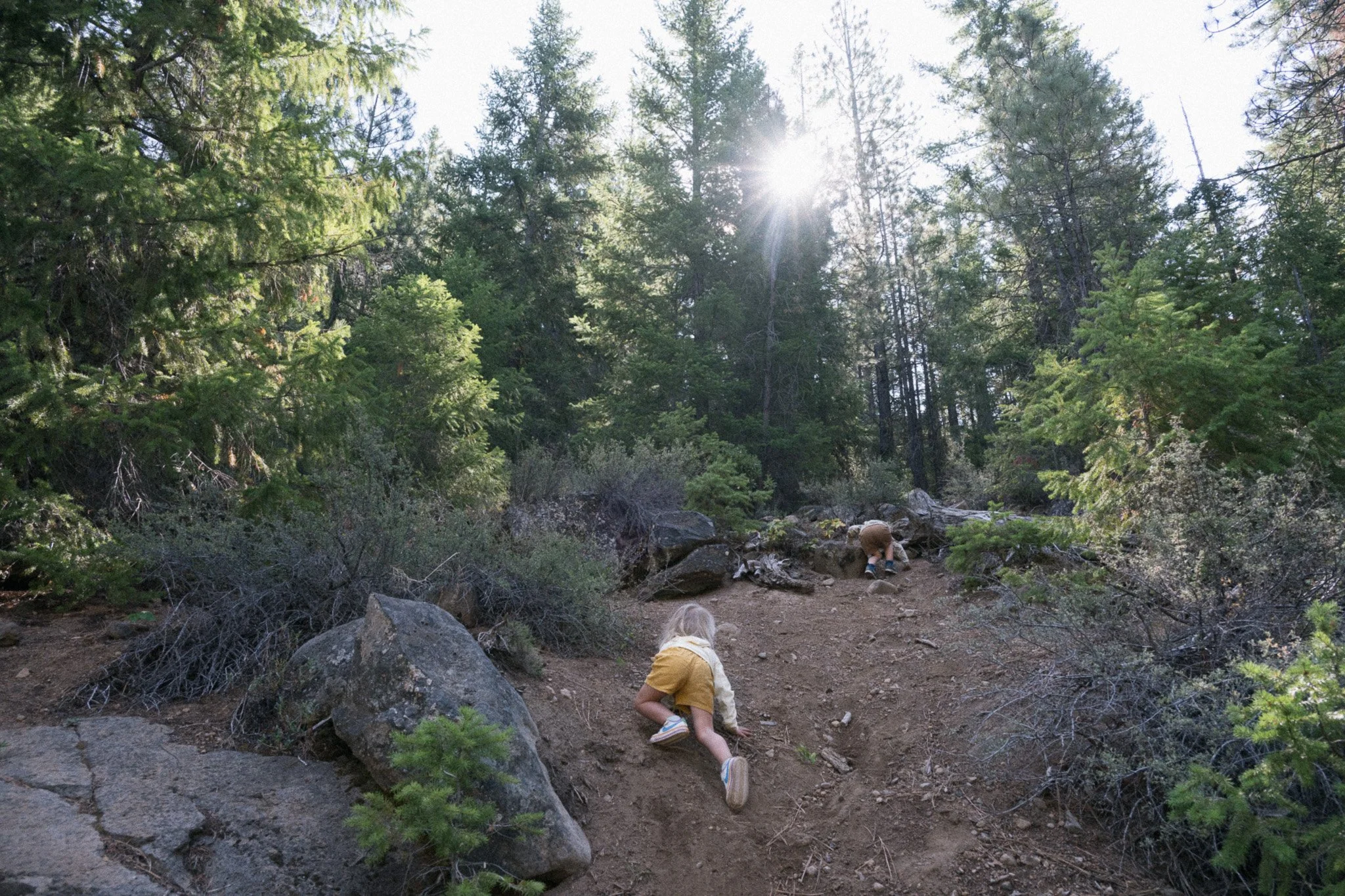 hikewithlucas-10.jpg
