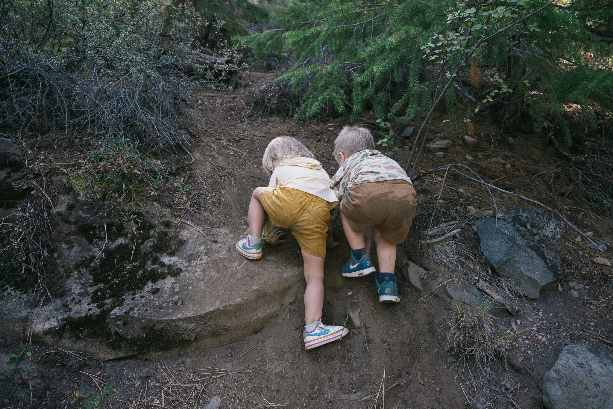 hikewithlucas-17.jpg
