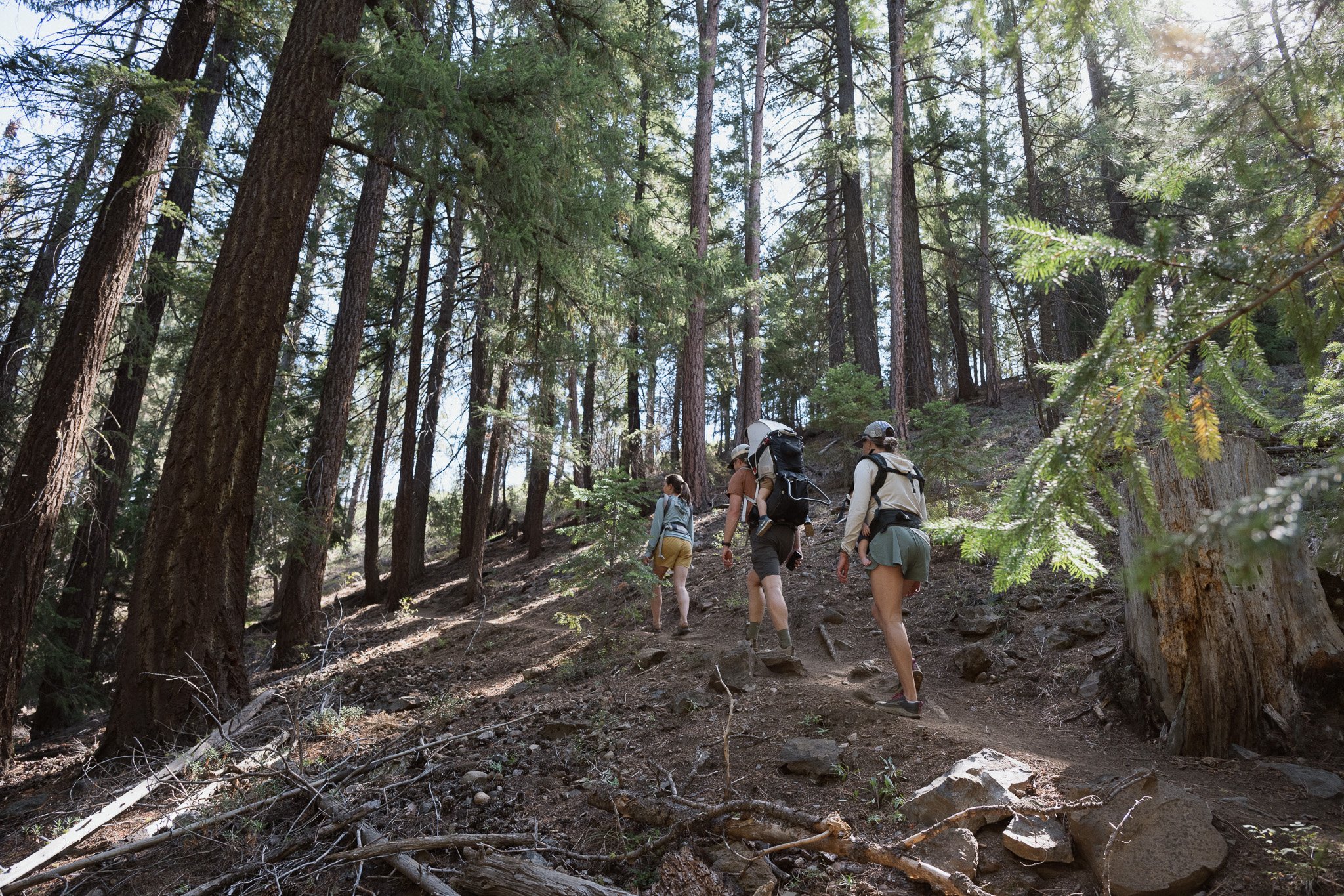 hikewithlucas-20.jpg