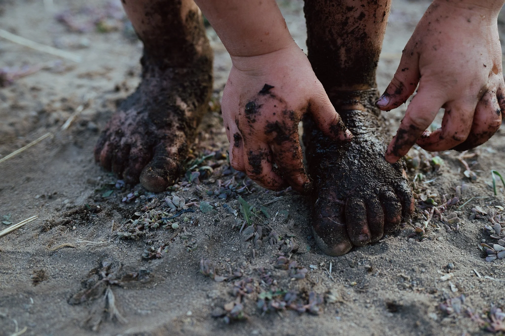 Planting Trees
