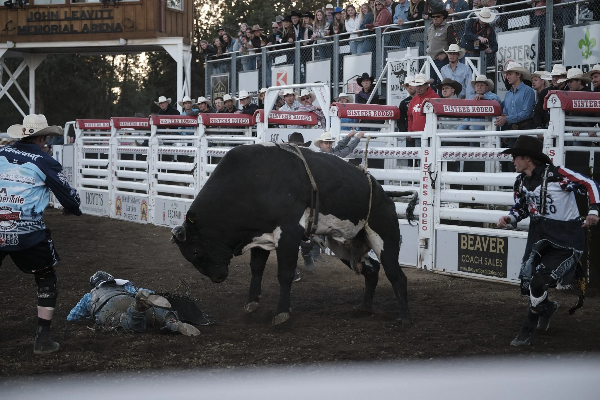 Rodeo