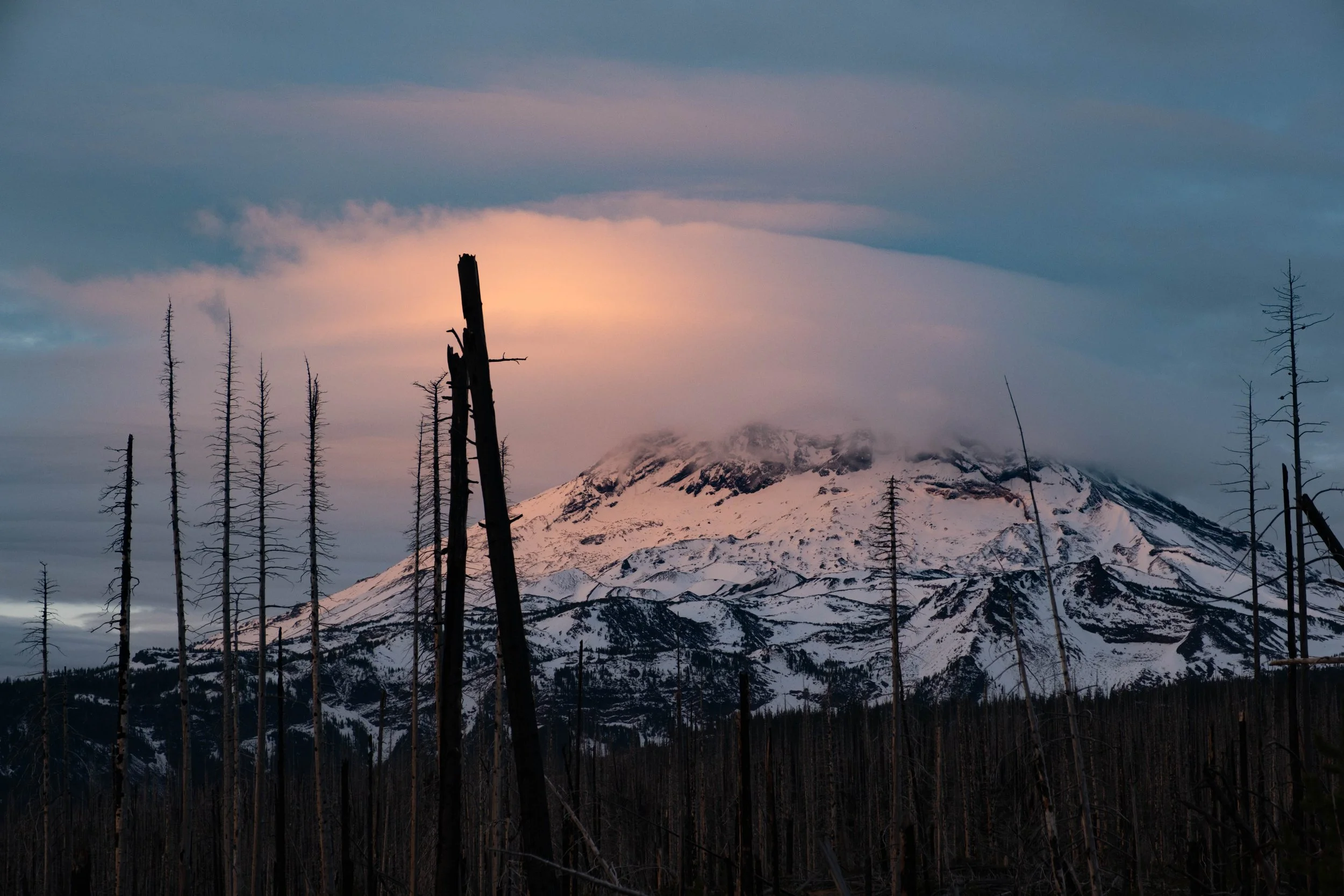 middlesis-11.jpg