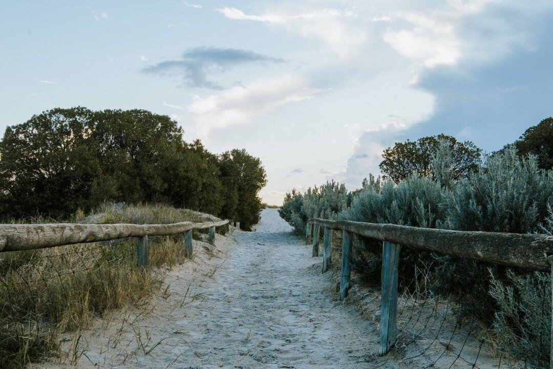 WORKSHOP 31/3: Connect with Port Adelaide's nature 🌊🐬Friends, what are your plans for next Thurs night? I'm teaming up with @PortEnvironmentCentre for a free interactive workshop exploring the value of everyday nature connection and local places yo