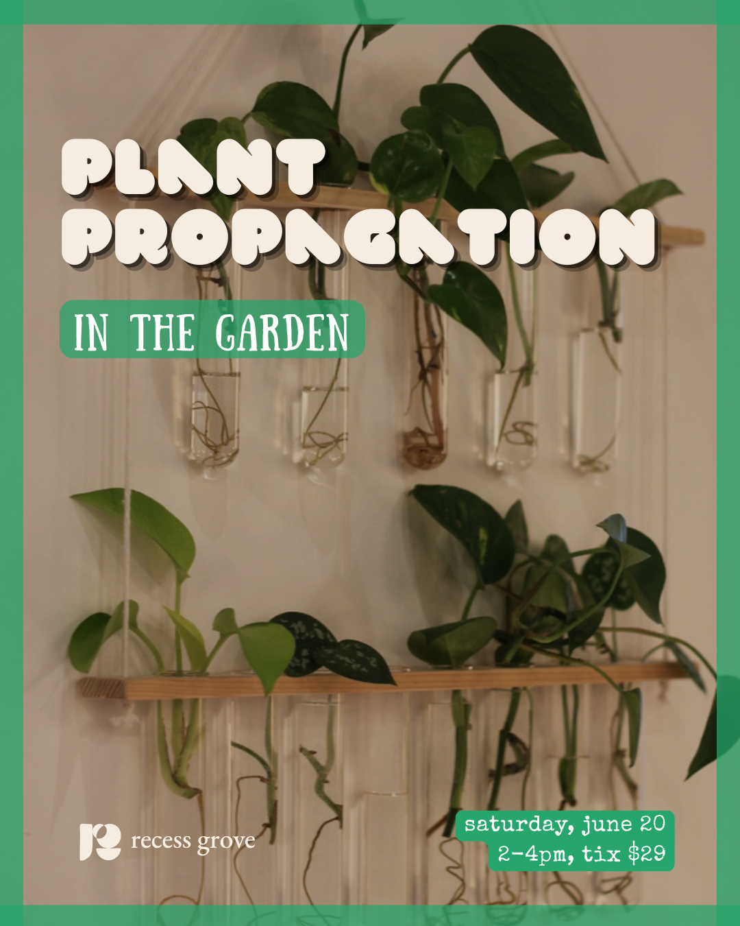 plant propagation class