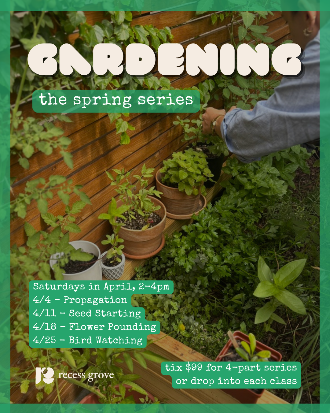 gardening: the spring series