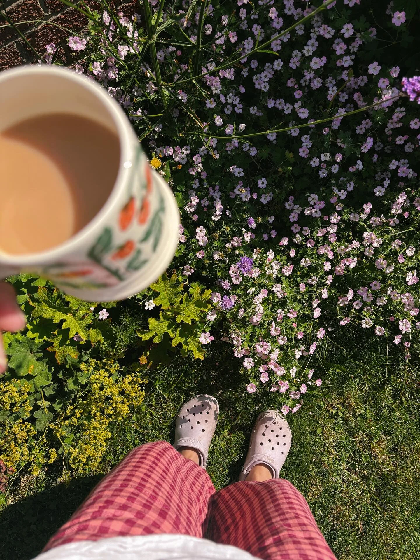 Things have been soooo busy of late - so posting some moments of calm over the summer so far 🌿