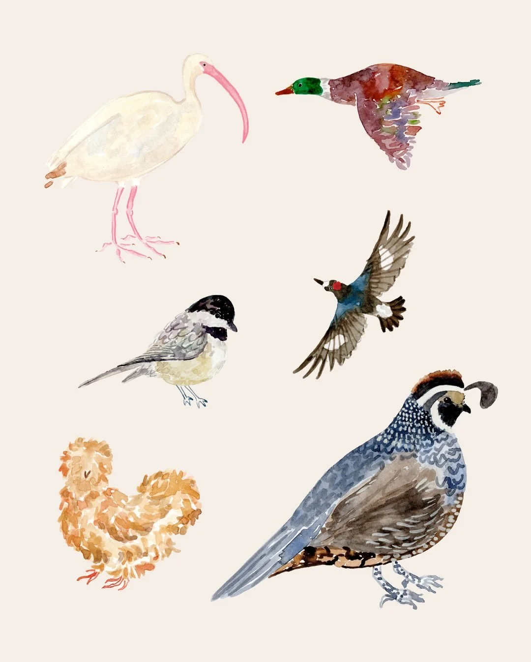 Some animal friends 🪿🐾
.
.
.
.
wedding stationery invitations illustration hand painted watercolour pet portrait