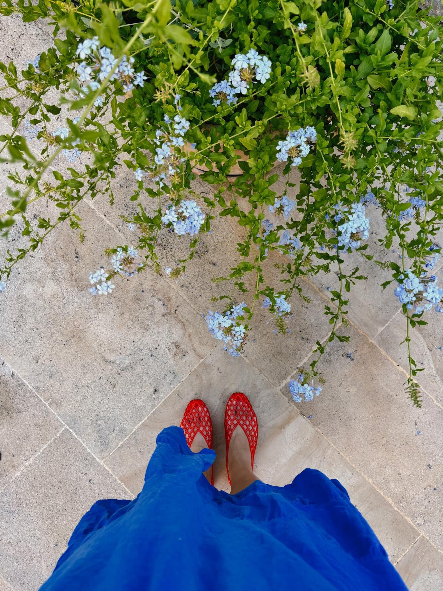 Postcards from the South of France 💙🌞🦀

Swipe for the sweetest terracotta tile clock I found in the market for my daughter&rsquo;s nursery 🪿