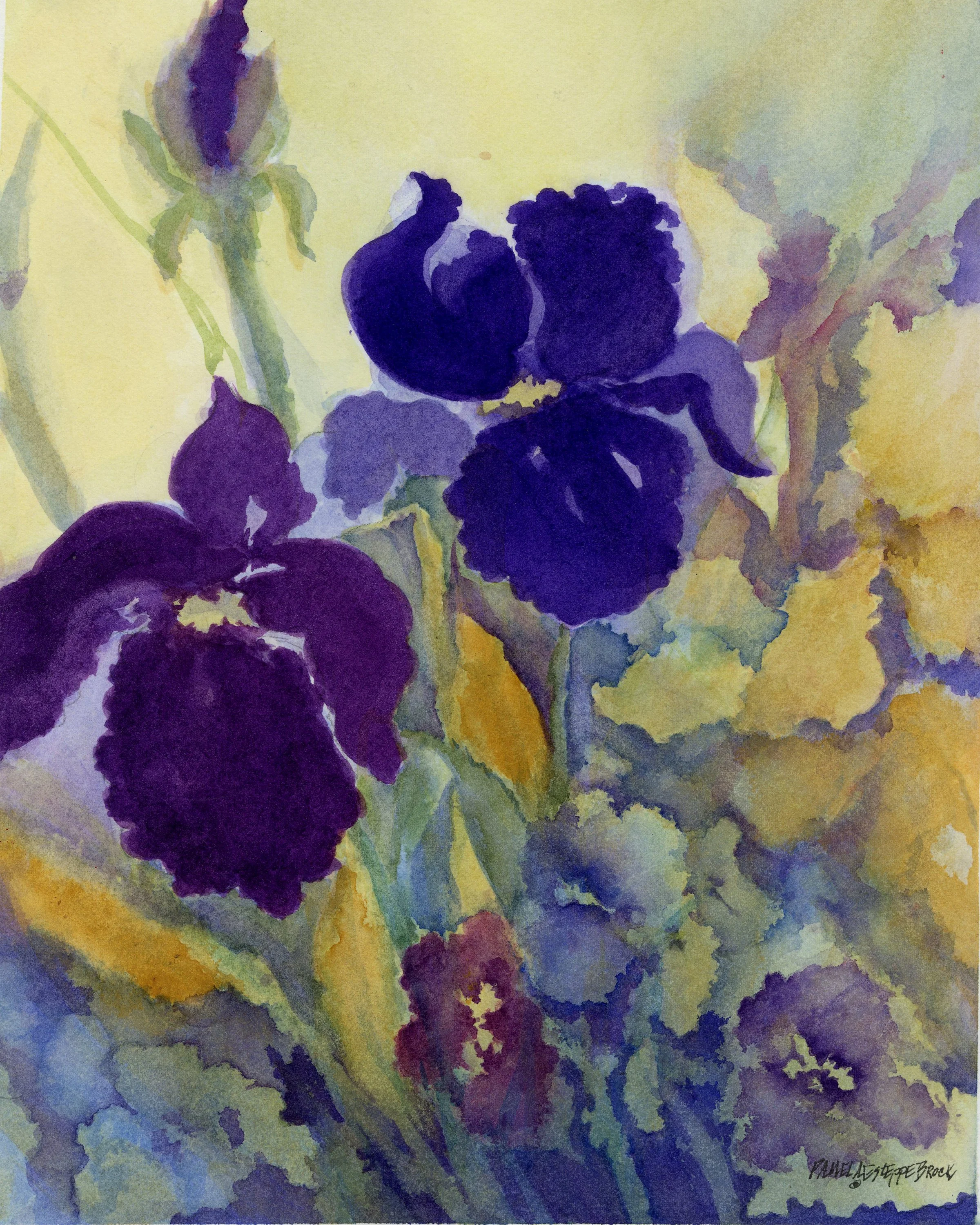 iris purple 24.jpg