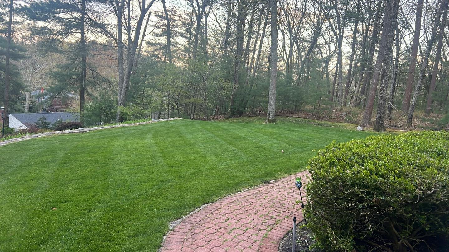 Featuring another one of our customer&rsquo;s yards. We work together with the homeowners to ensure we are aligned on their expectations and do our best to deliver !! #mowing #lawnmowing