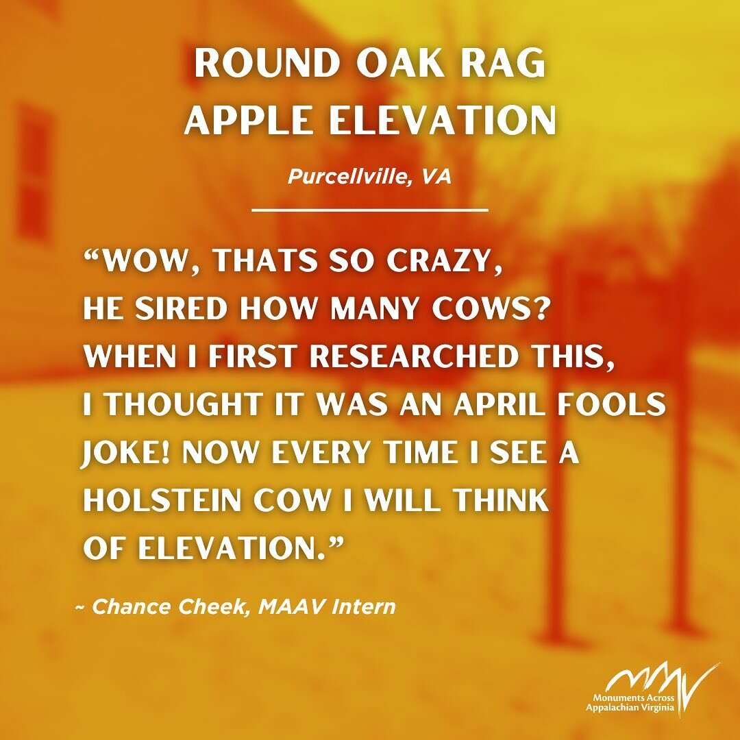 Happy Monument Tuesday! Just kidding, happy Monument Monday! This week we are highlighting the Round Oak Rag Apple Elevation monument hosting #MAAV intern, Chance Cheek.

Elevation the bull had a marker placed by the Virginia Holstein Association in 